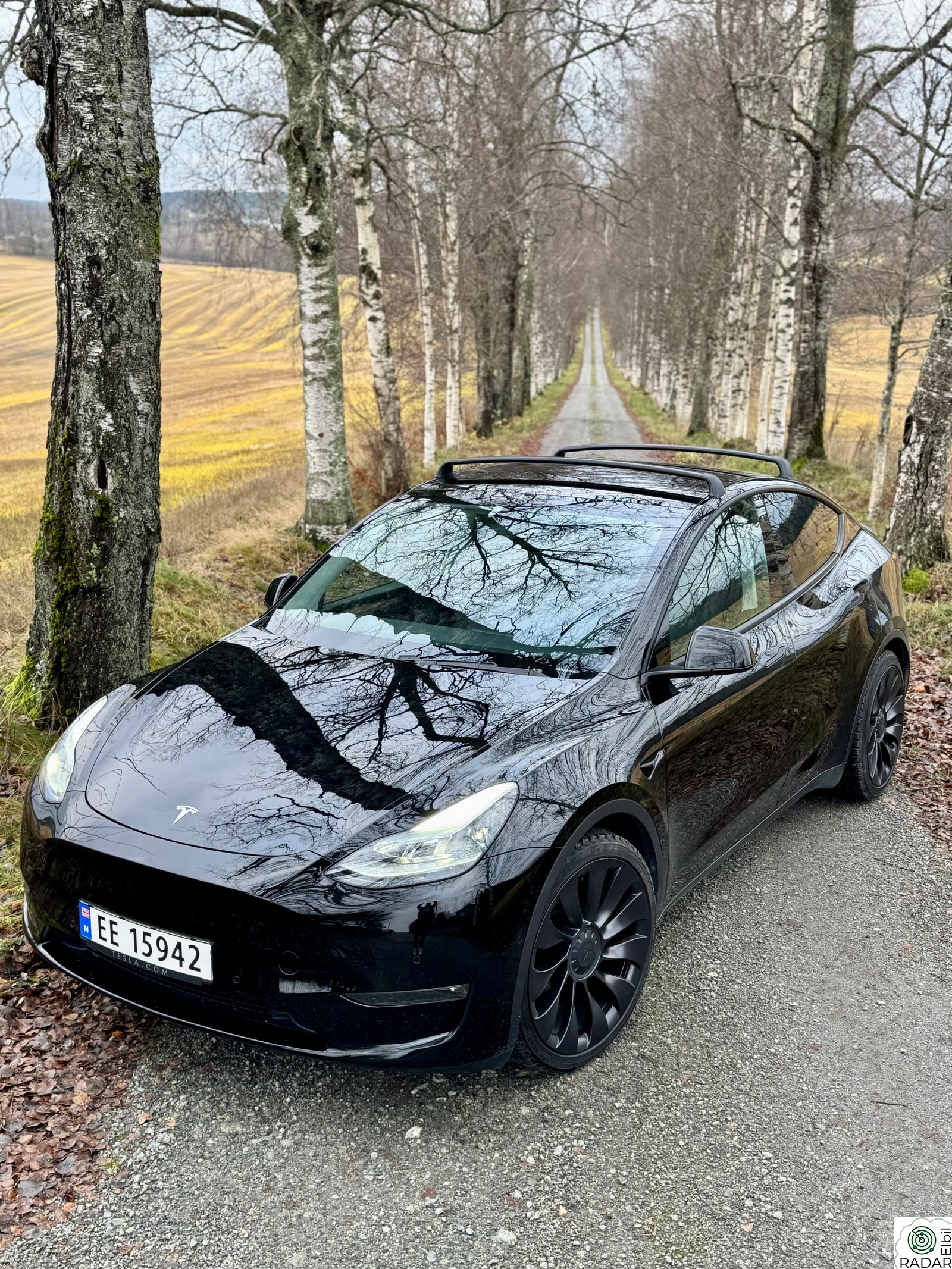 TESLA Model Y Performance AWD