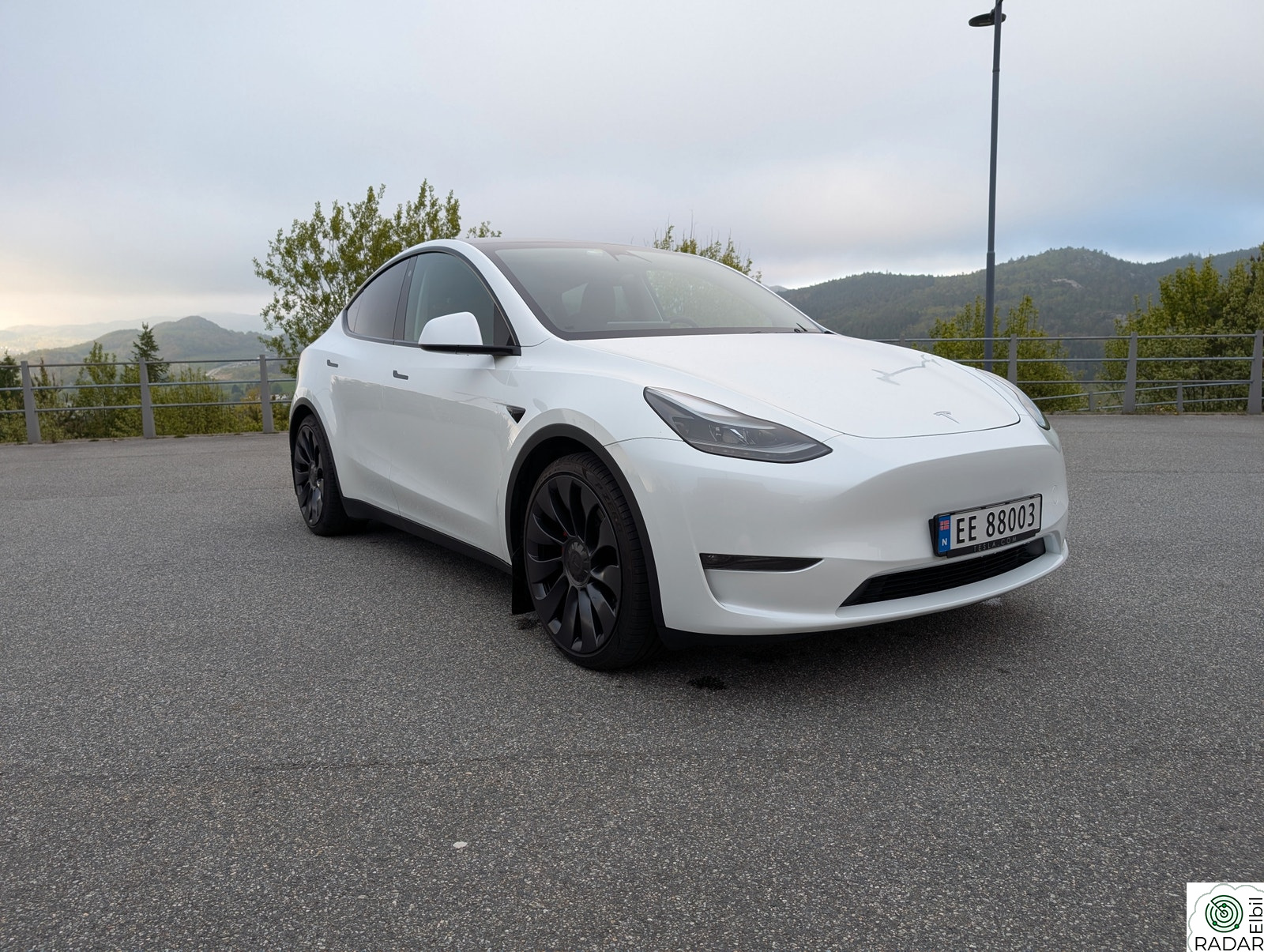 TESLA Model Y Performance AWD