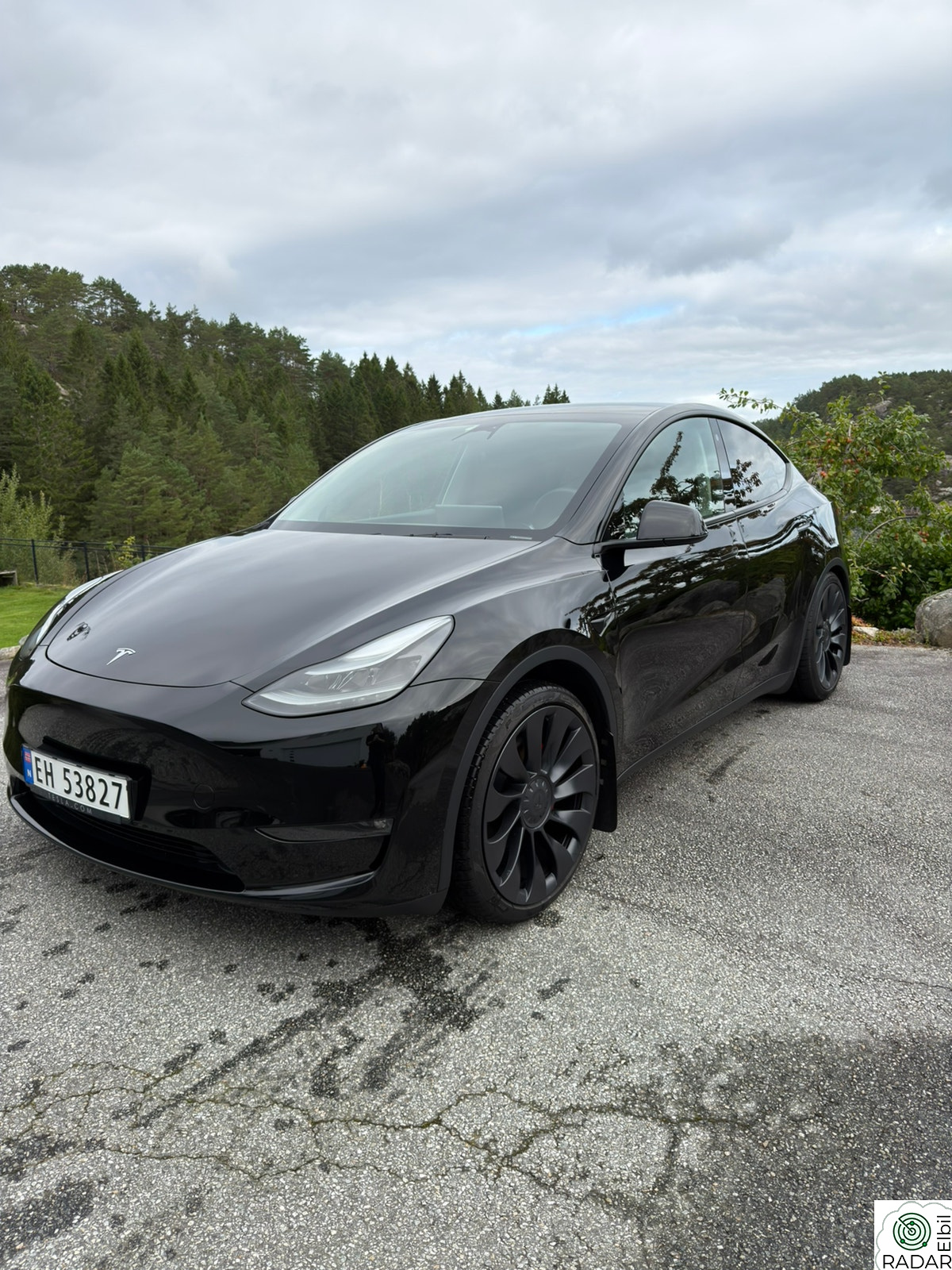 TESLA Model Y Performance AWD