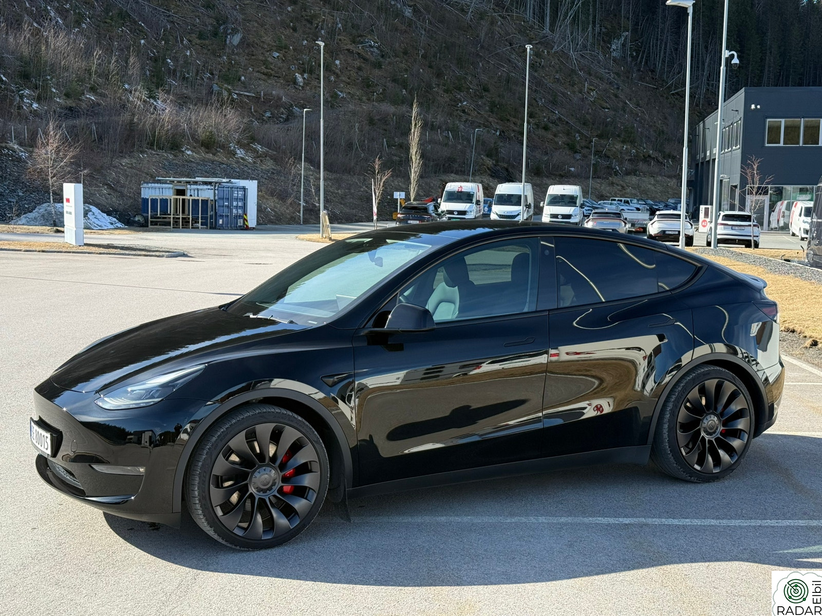 TESLA Model Y Performance AWD