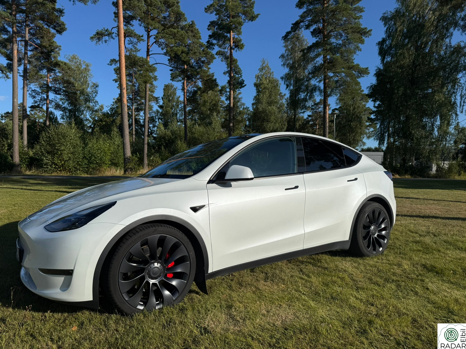 TESLA Model Y Performance AWD