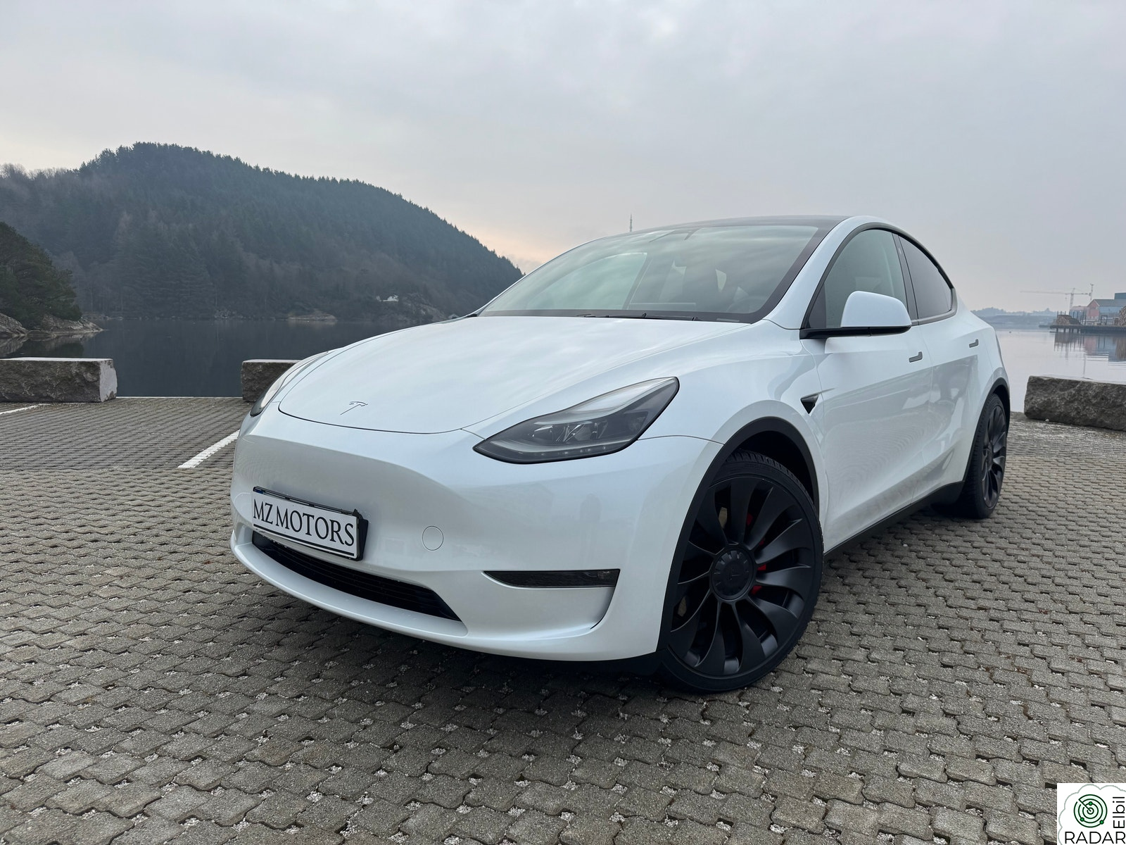 TESLA Model Y Performance AWD/513HK/2023