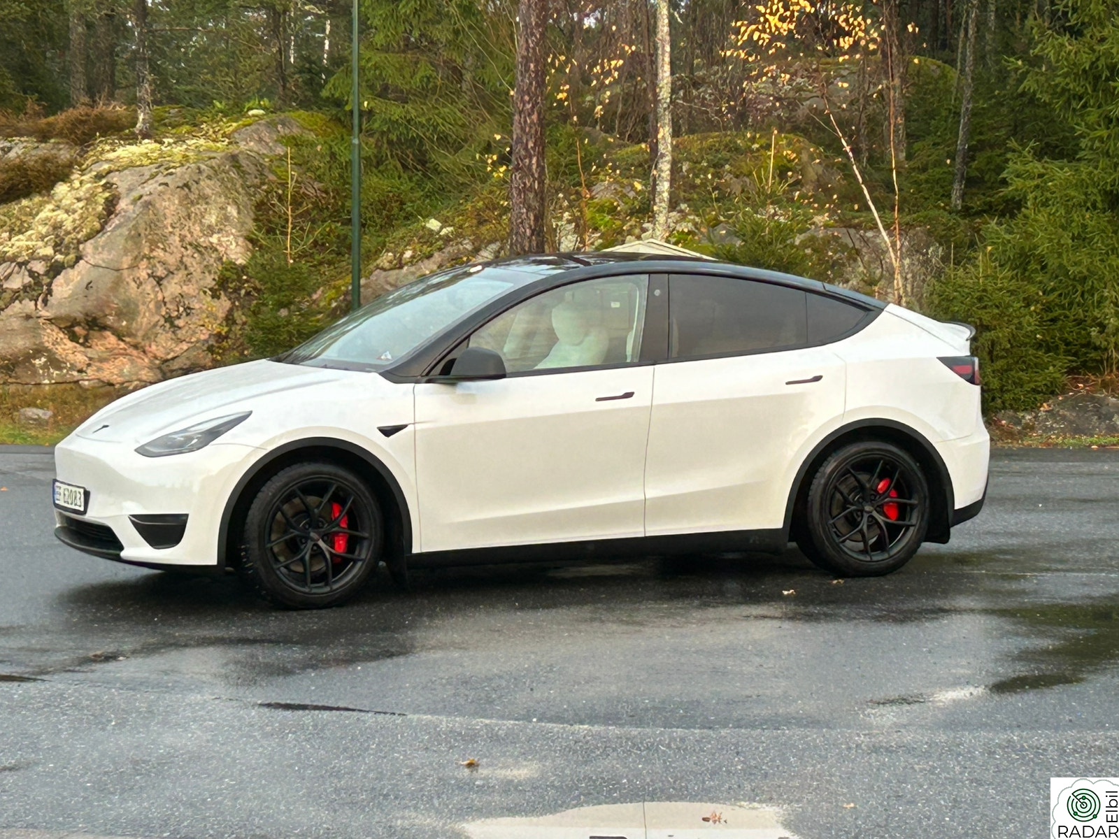 TESLA Model Y Performance AWD
