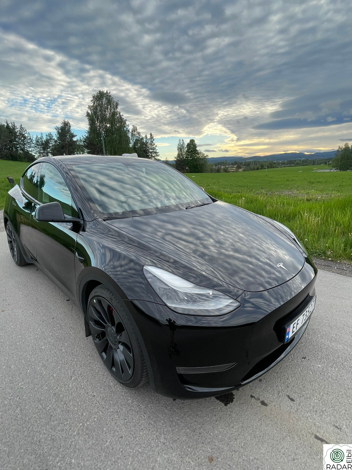 TESLA Model Y Performance AWD