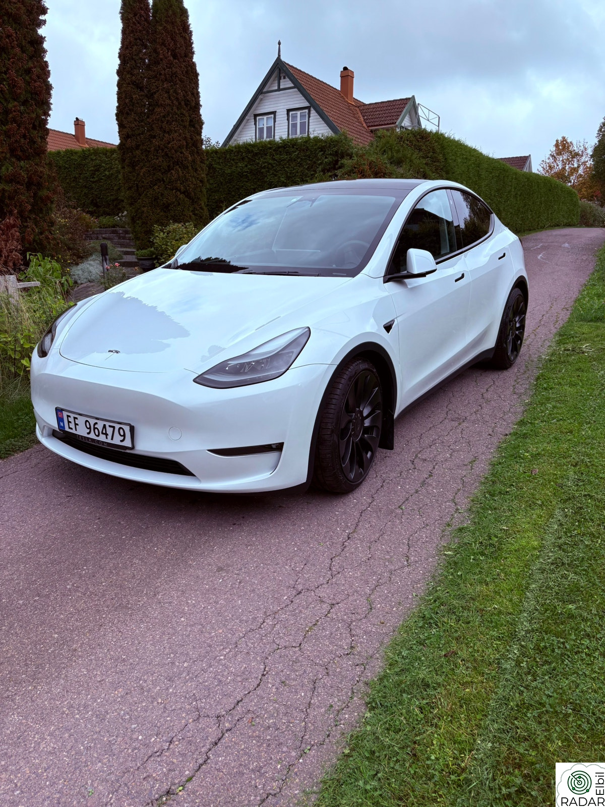 TESLA Model Y Performance AWD