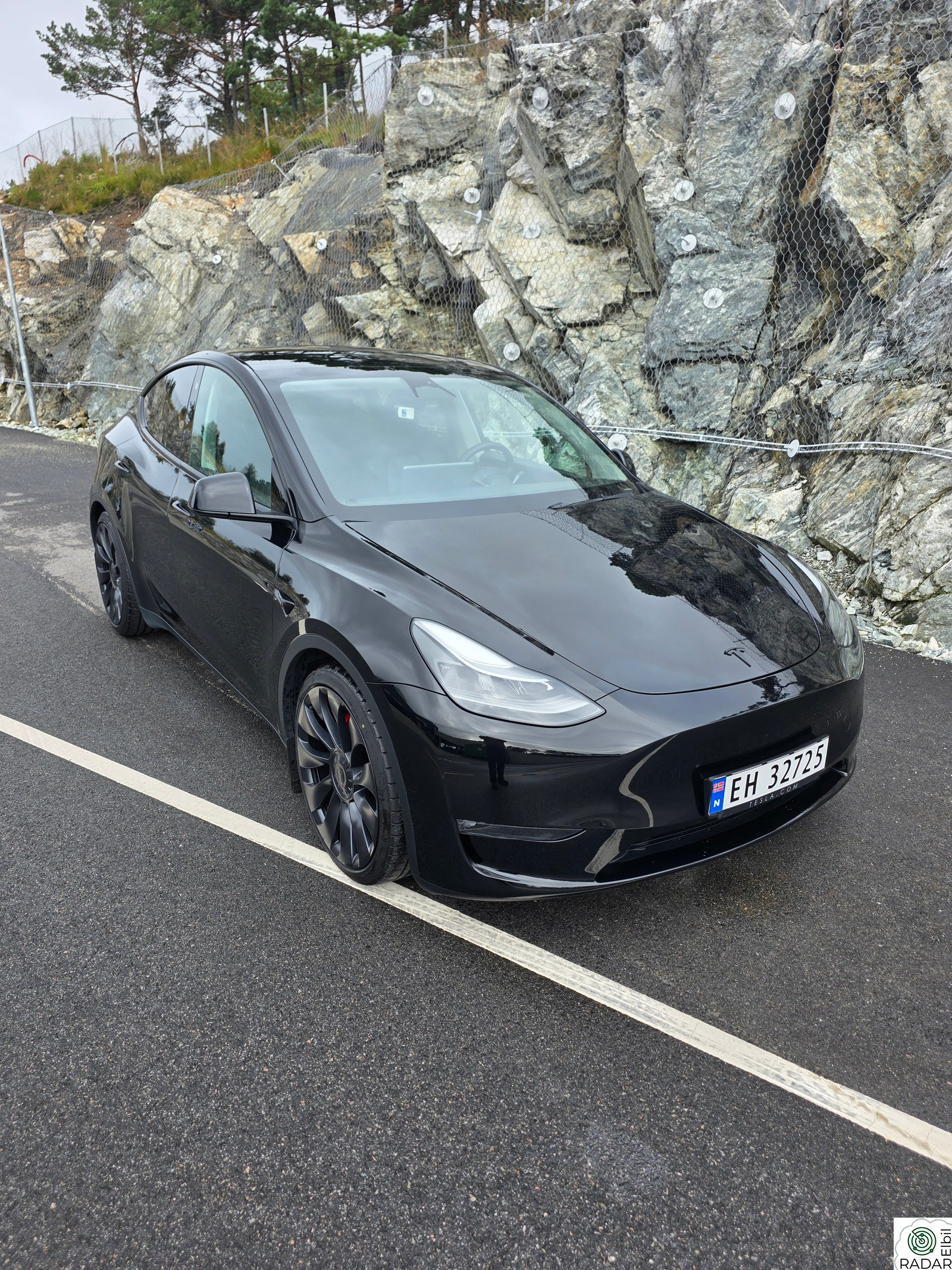 TESLA Model Y Performance AWD