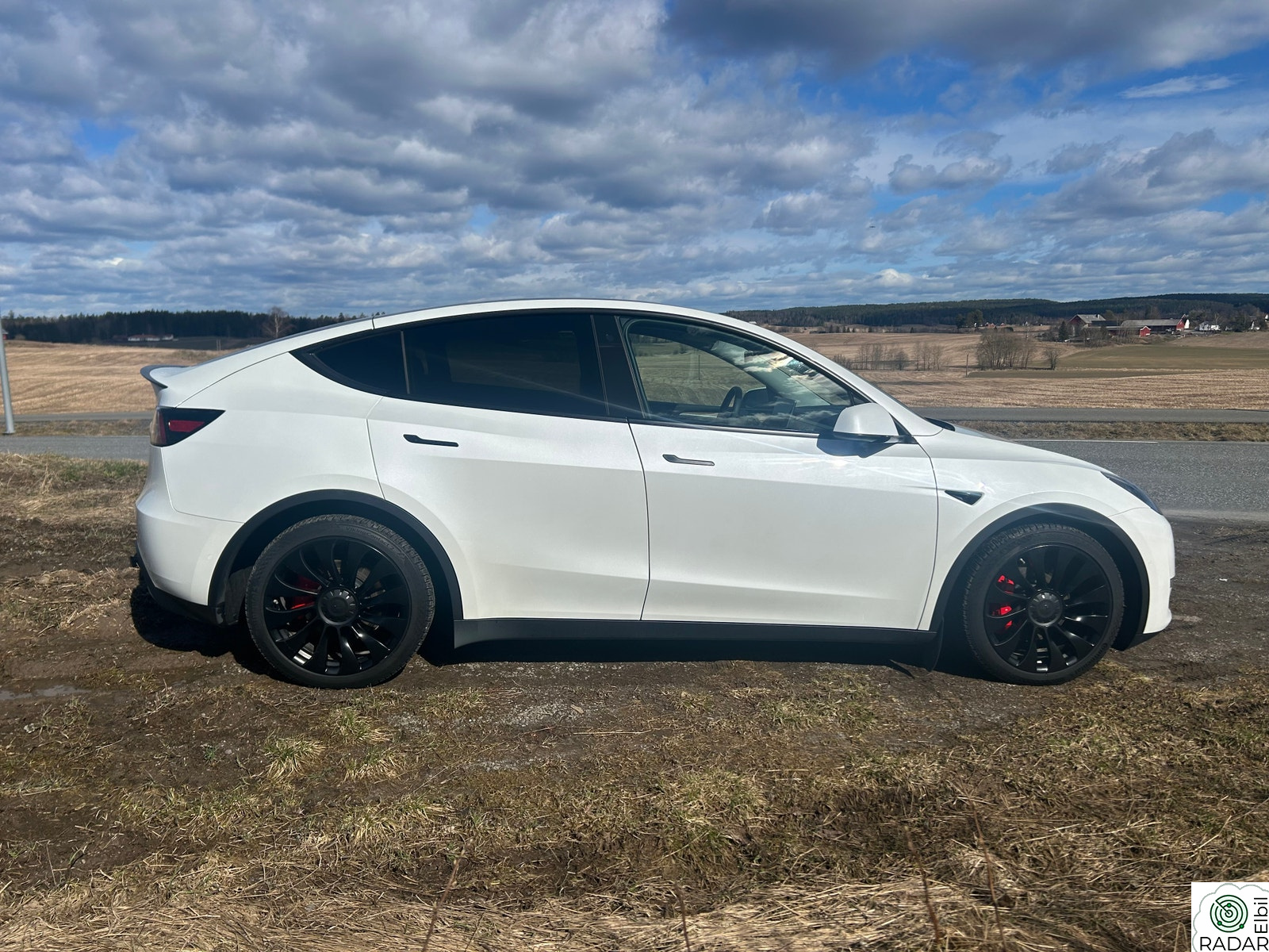 TESLA Model Y Performance AWD