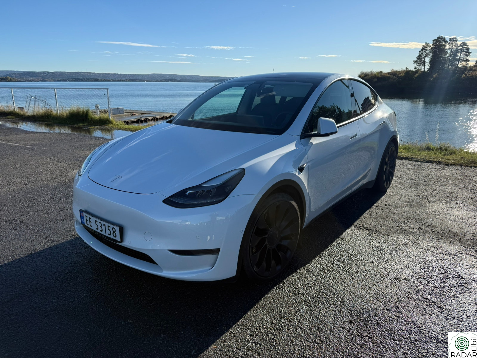 TESLA Model Y Performance AWD