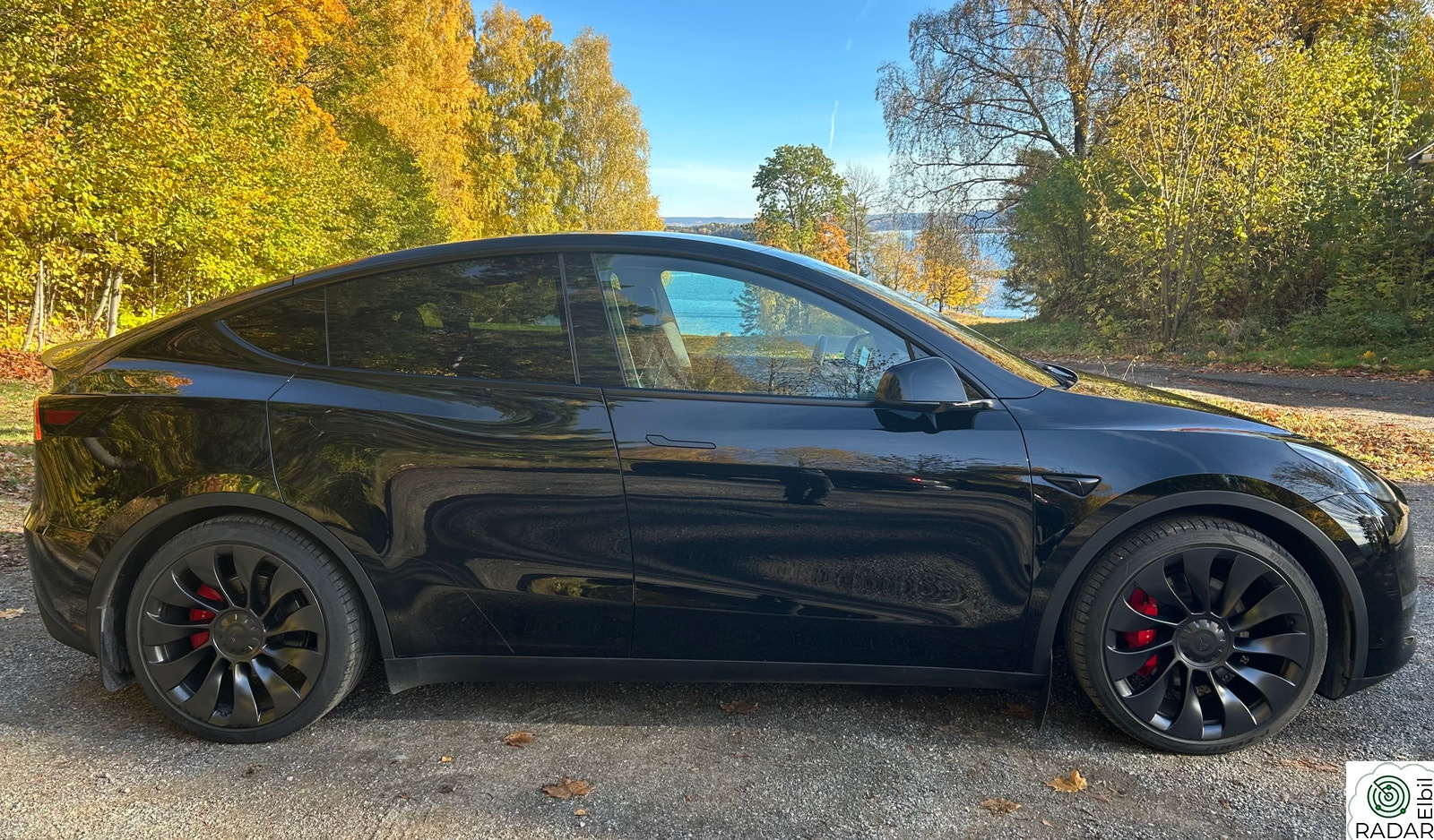 TESLA Model Y Performance AWD