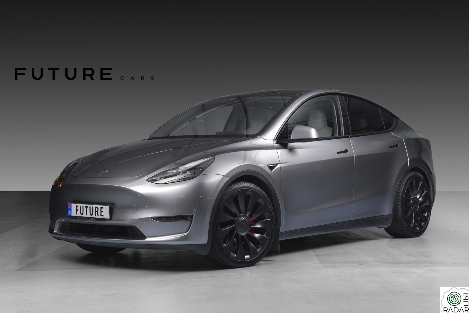 TESLA Model Y Performance LR AP/Hifi/Vinter/Norsk/Krok/21"+21"
