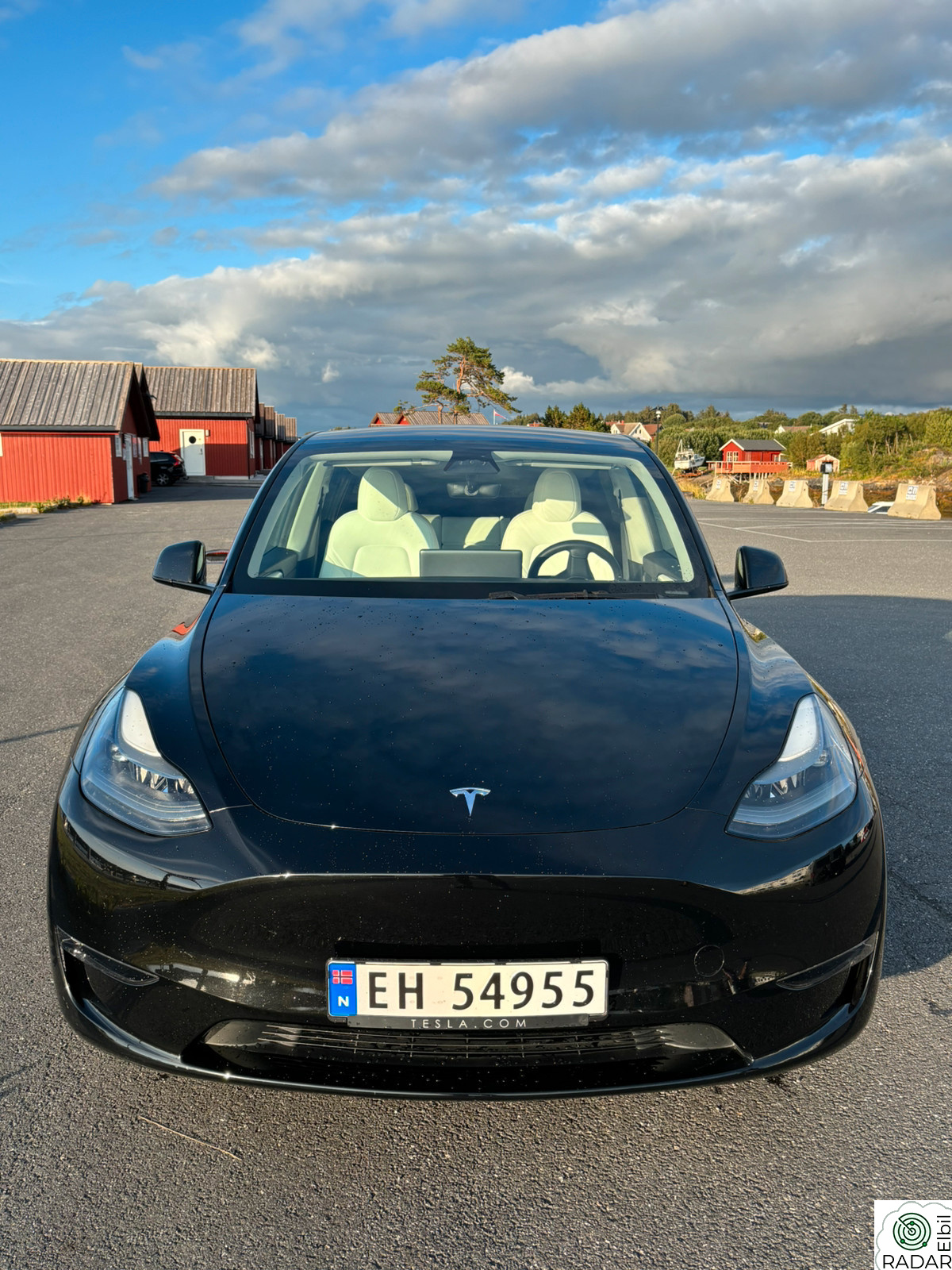 TESLA Model Y Performance AWD