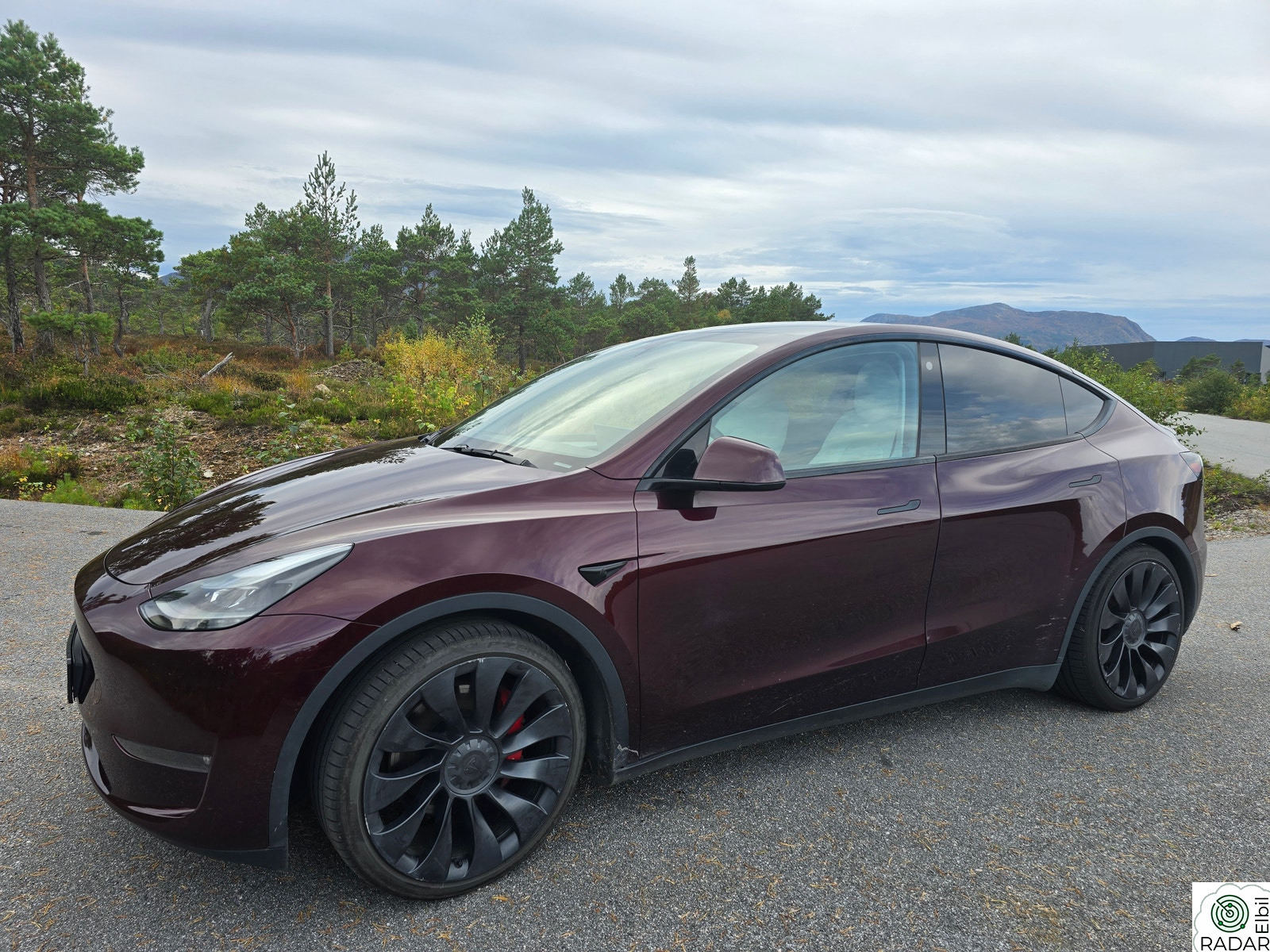 TESLA Model Y Performance AWD