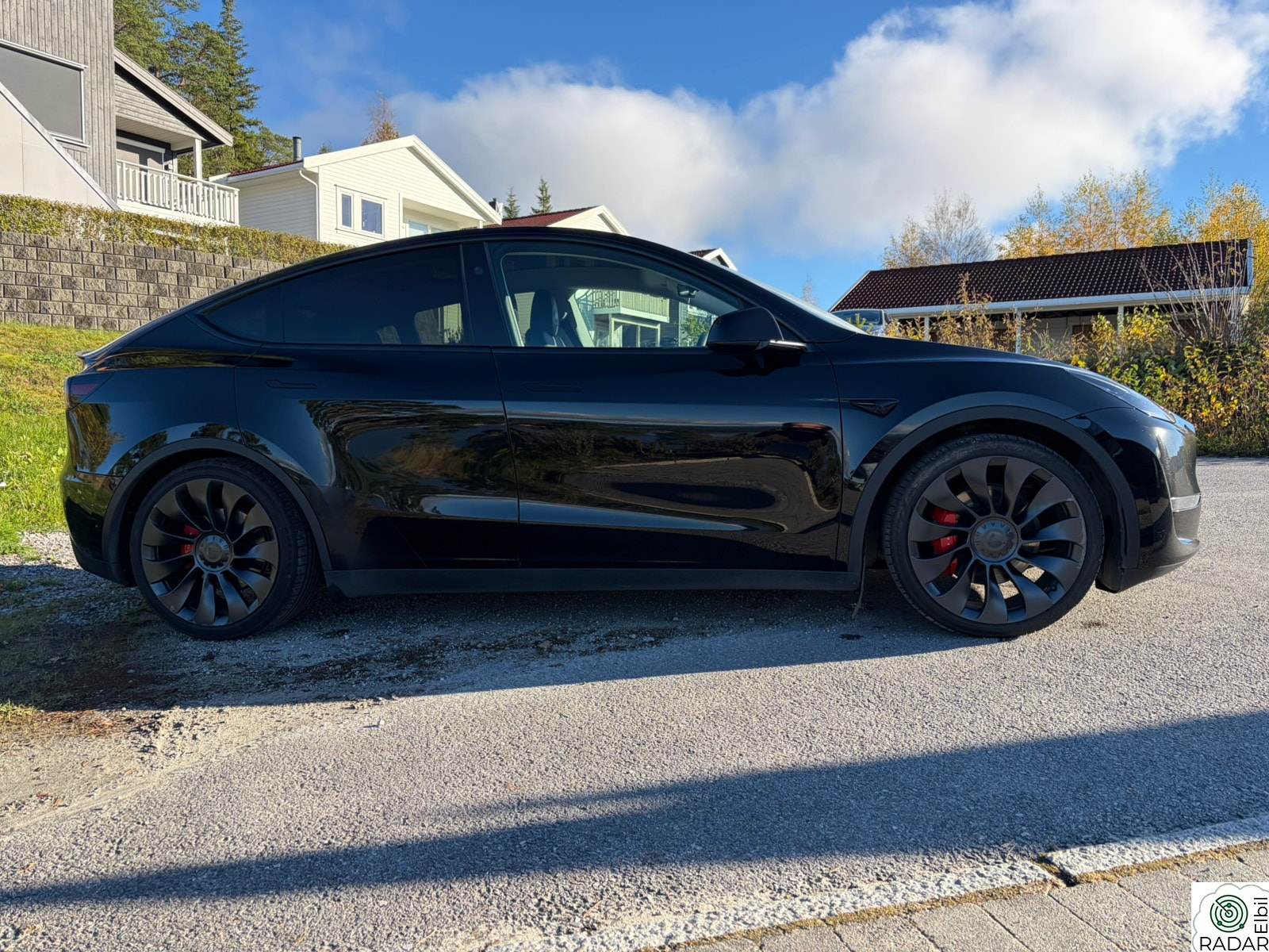 TESLA Model Y Performance AWD