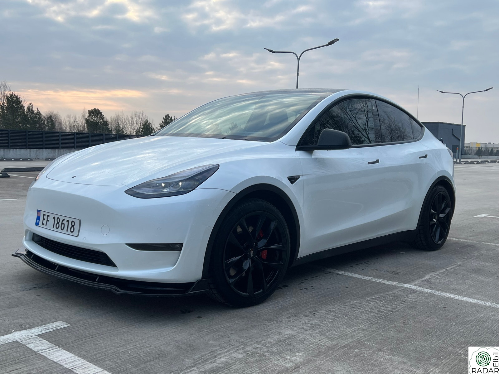 TESLA Model Y Performance AWD