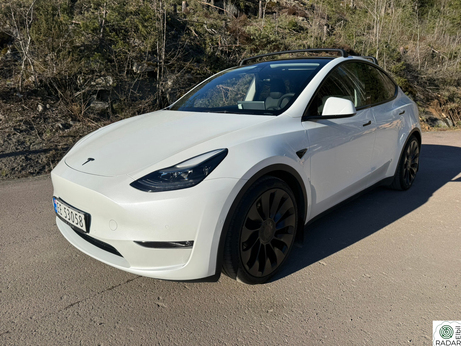 TESLA Model Y Performance AWD