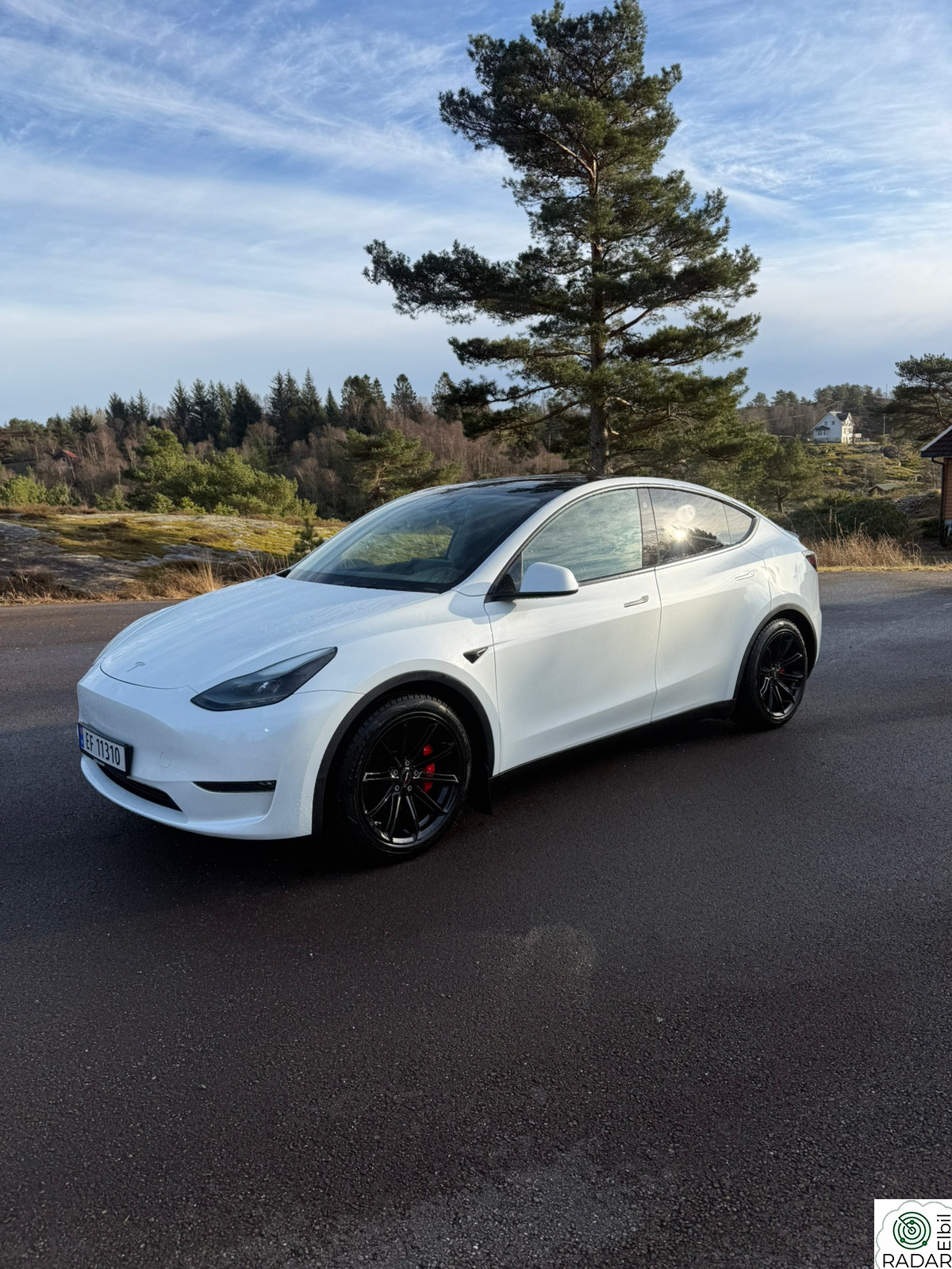TESLA Model Y Performance AWD