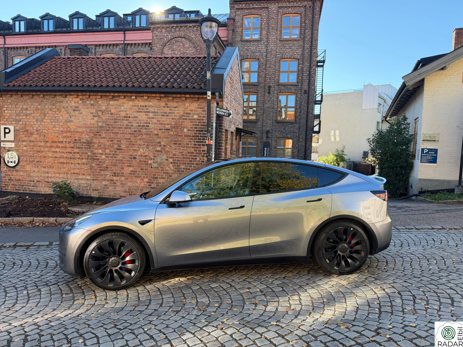 TESLA Model Y Performance AWD I Quick Silver
