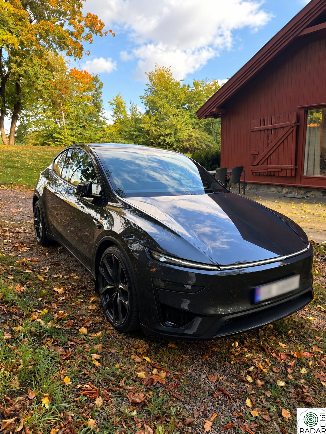 TESLA Model Y Performance AWD