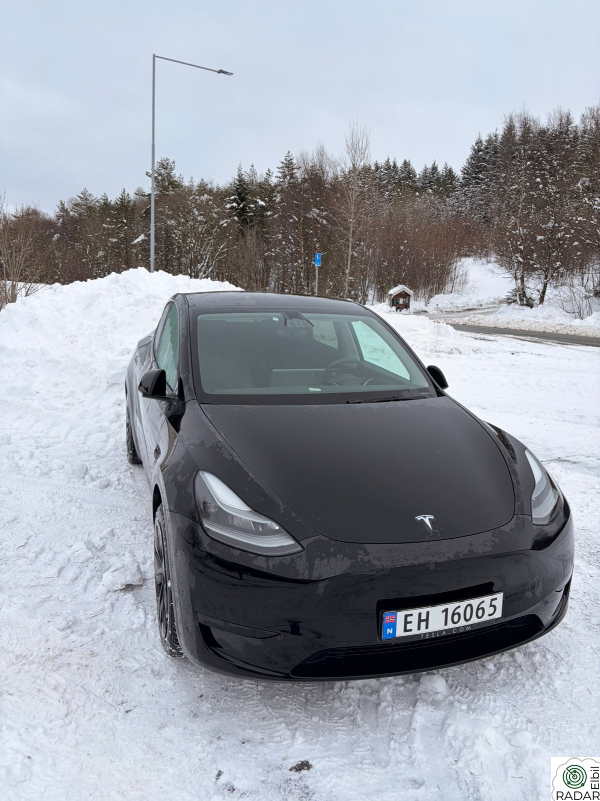 TESLA Model Y Standard Range RWD