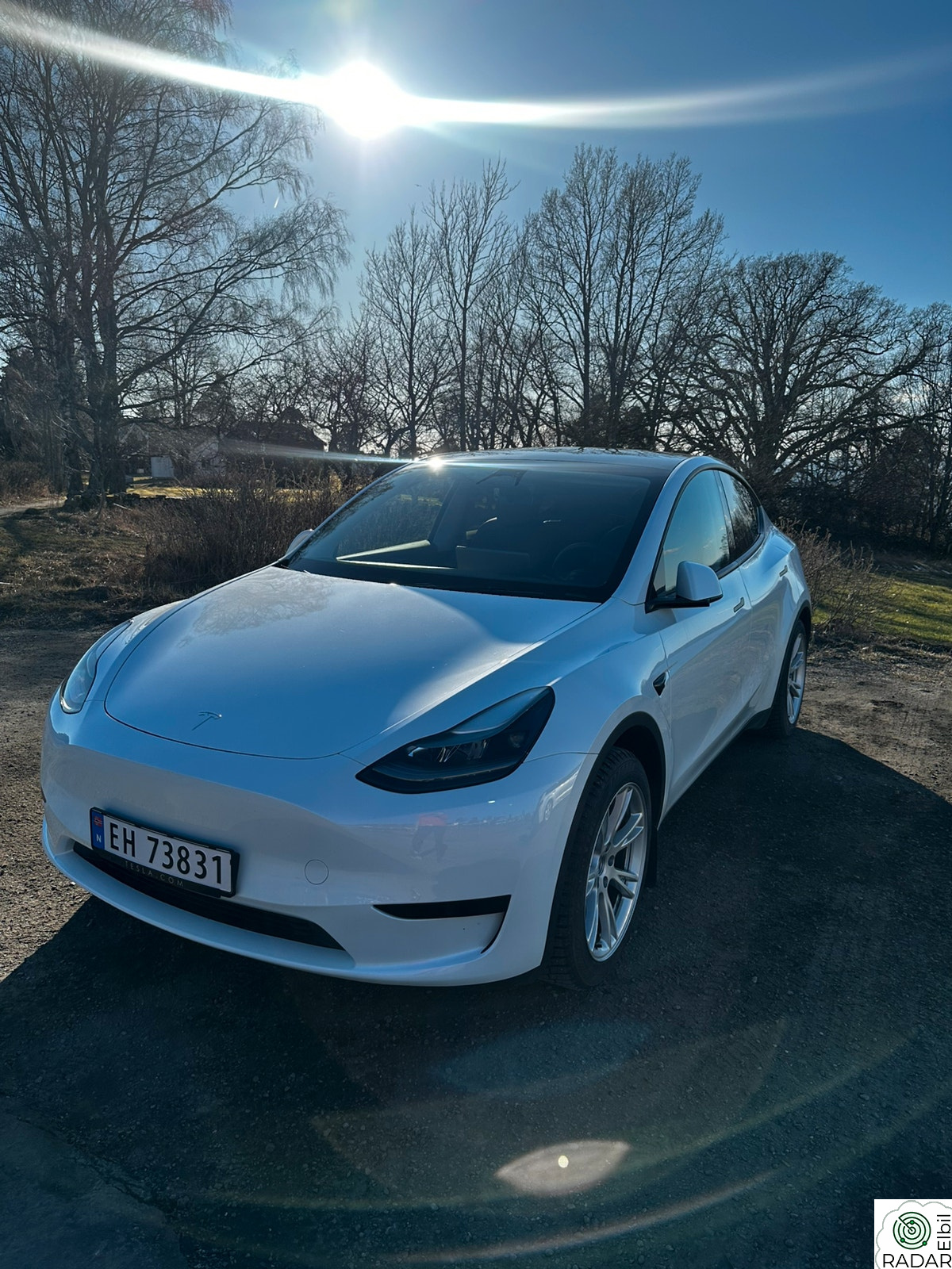 TESLA Model Y Standard Range RWD
