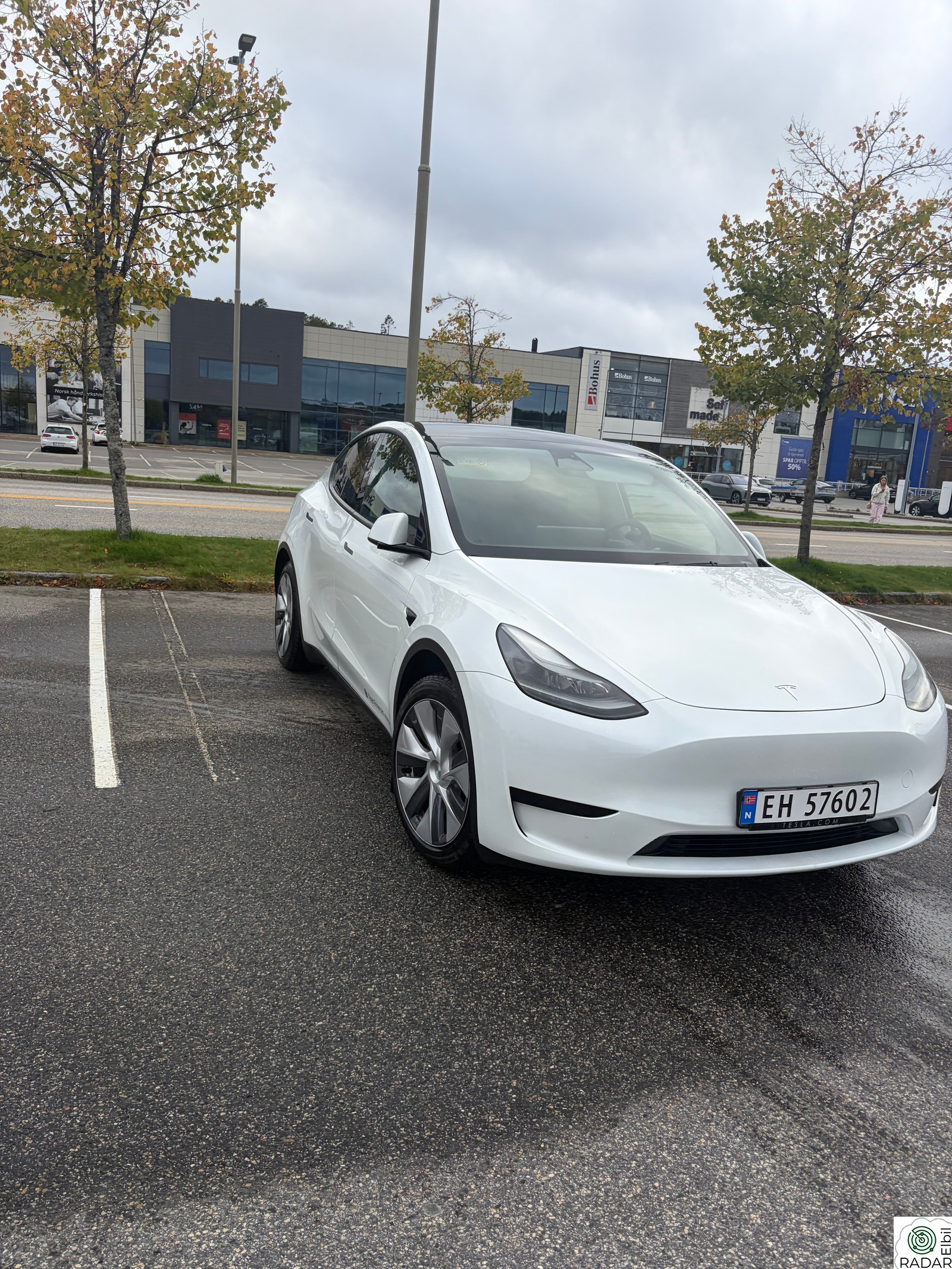 TESLA Model Y Standard Range RWD