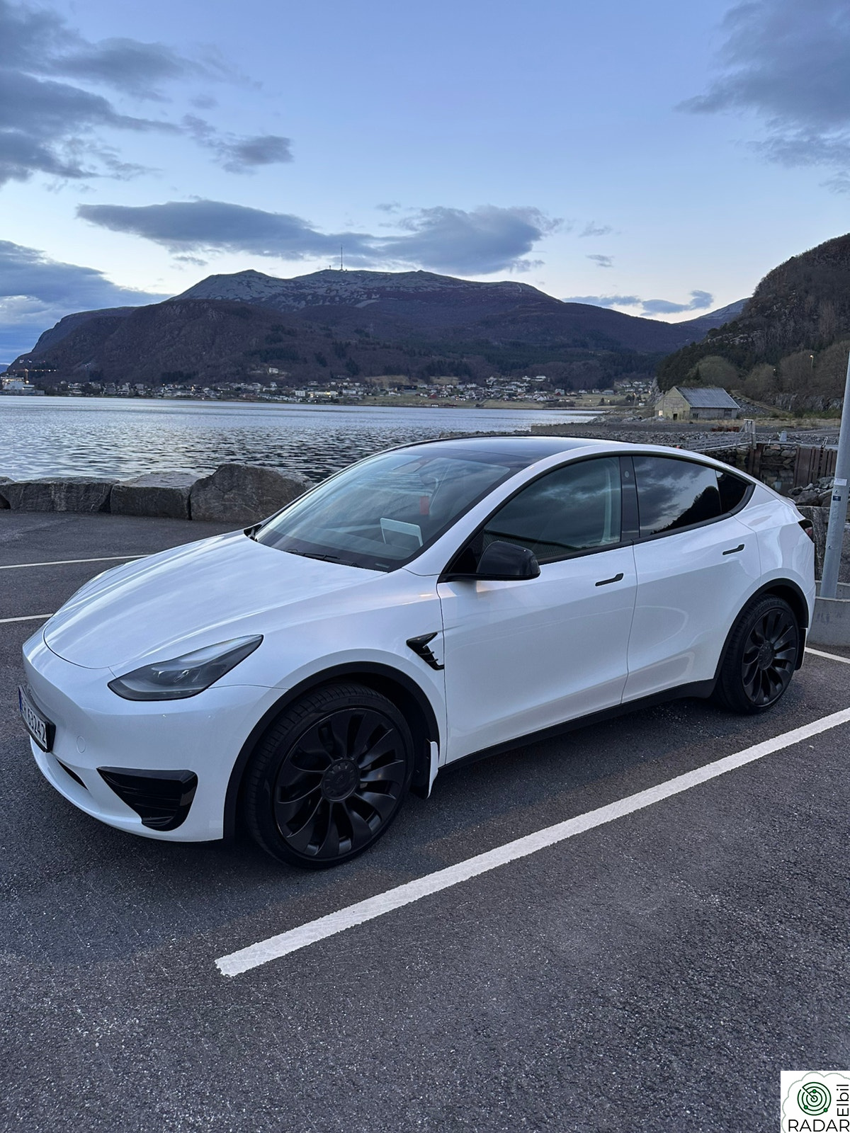 TESLA Model Y Standard Range RWD