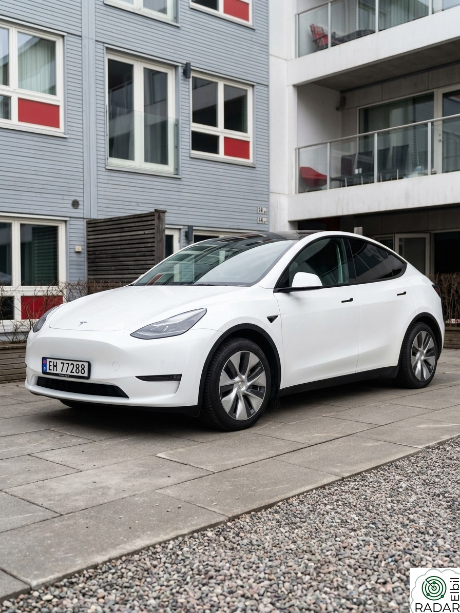 TESLA Model Y Standard Range RWD