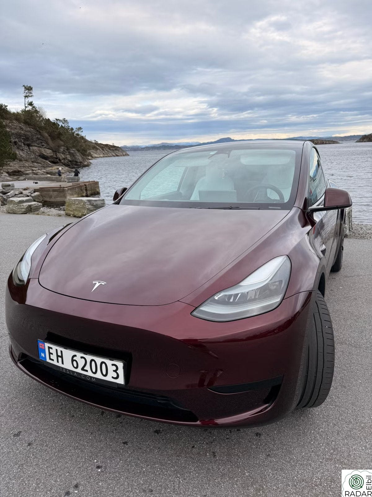 TESLA Model Y Long Range RWD