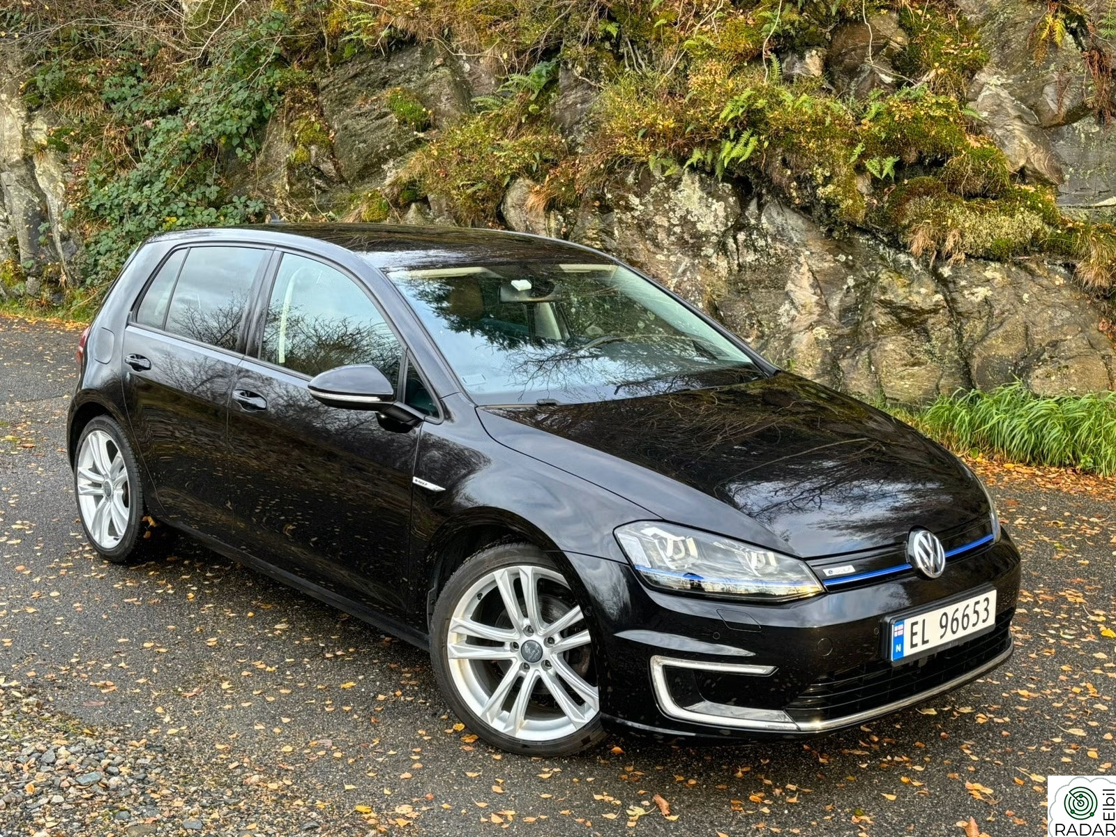 VOLKSWAGEN GOLF Egolf