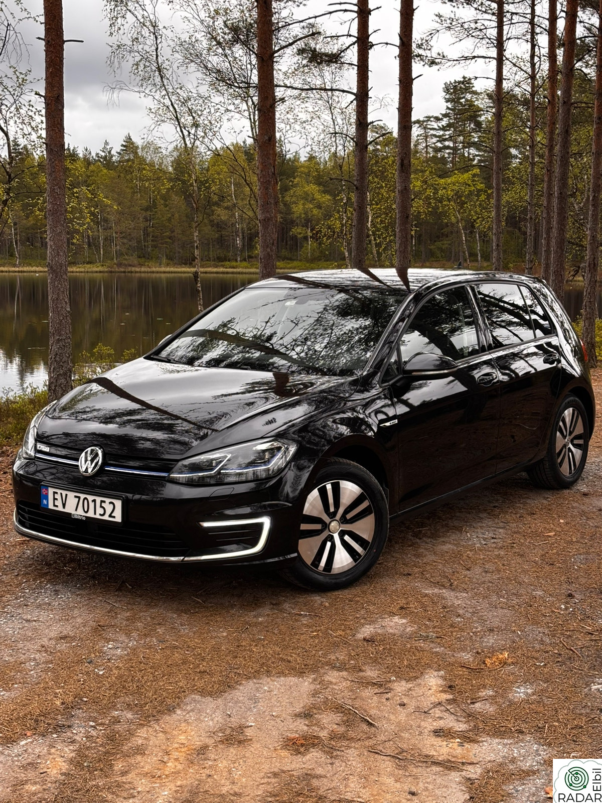 VOLKSWAGEN GOLF Exclusive 300km Skinn