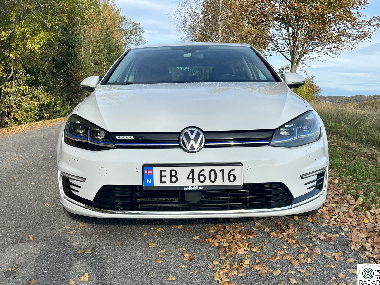 VOLKSWAGEN GOLF E-golf exclusive Keyless/Skinn/Digitalt-display