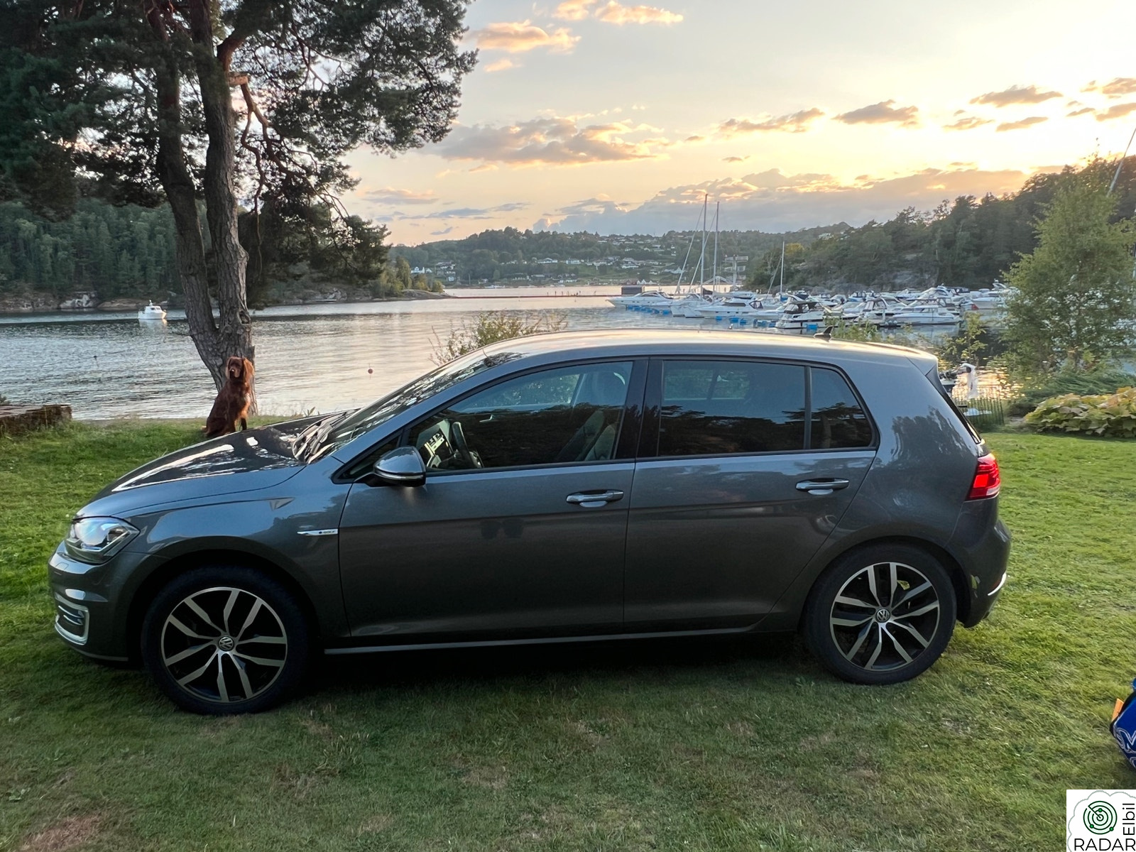 VOLKSWAGEN GOLF Exclusive (K)