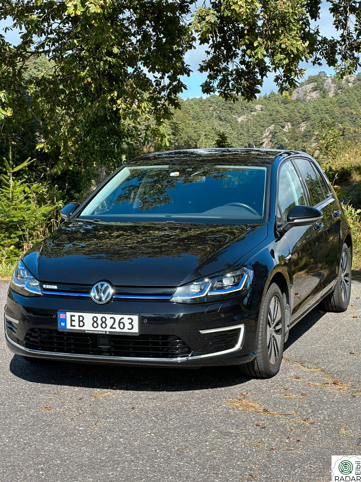 VOLKSWAGEN GOLF E-GOLF Final Edition/Garanti/Skinn/ACC/Keyless+