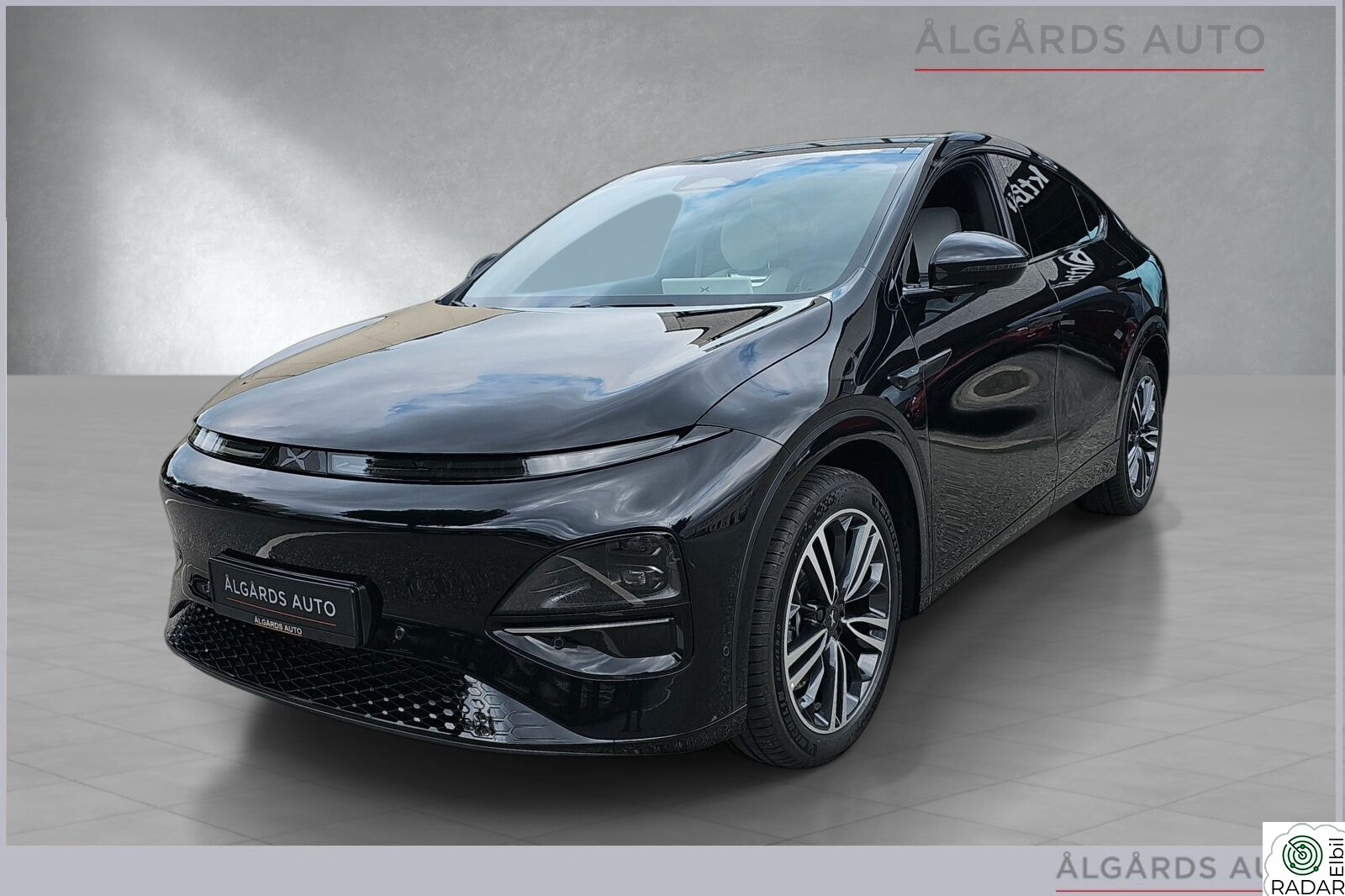 XPENG G6 AWD Performance TOPPMODELL-SKINN-KROK-VINTERHJUL