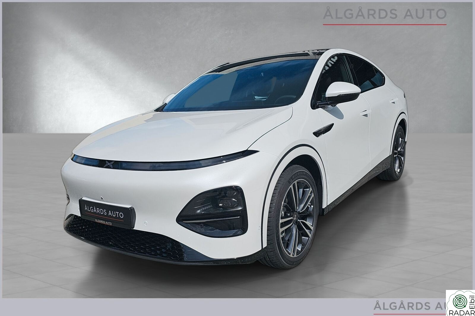 XPENG G6 AWD Performance TOPPMODELL -SKINN- KROK-VINTERHJUL