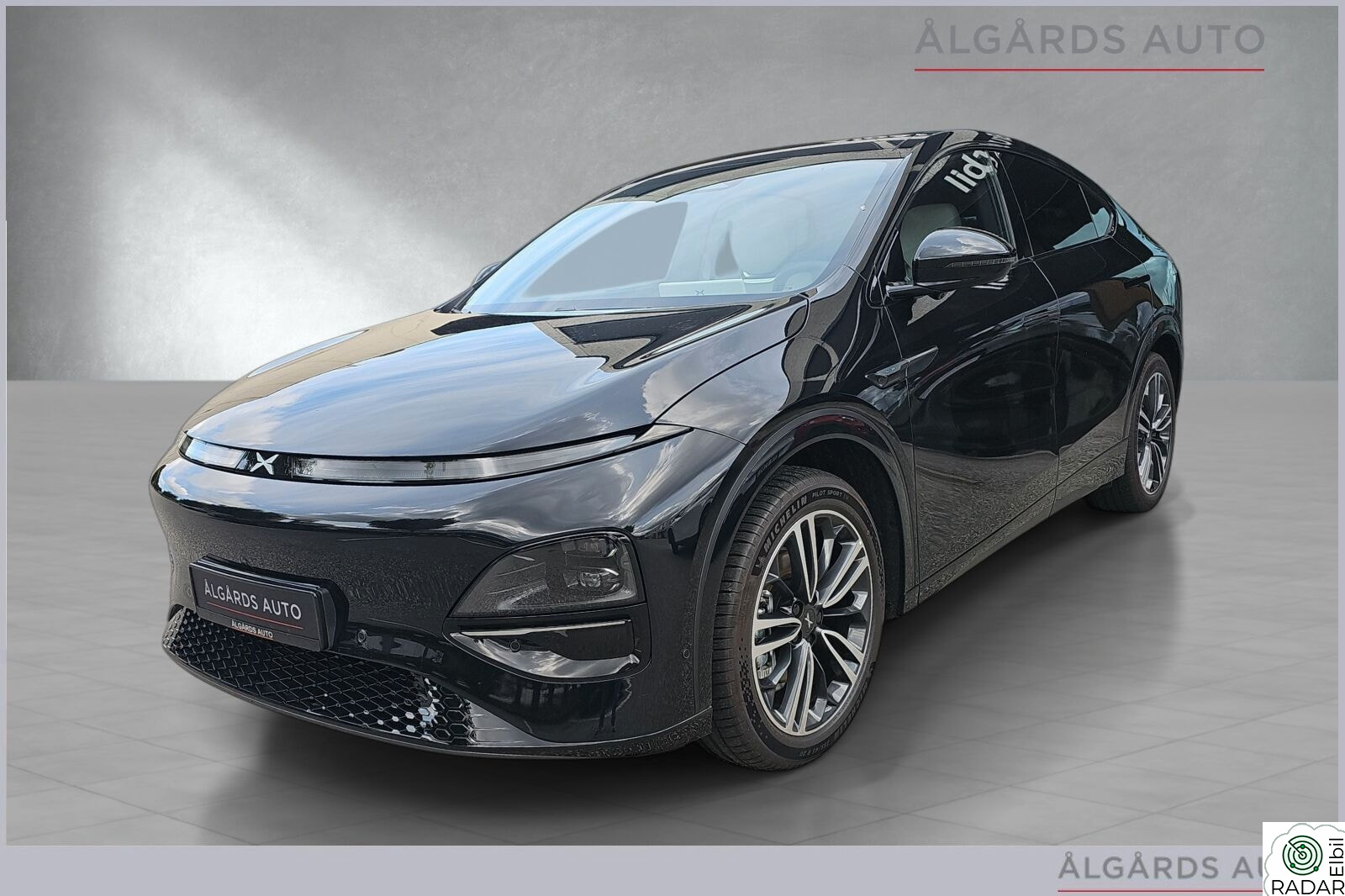 XPENG G6 AWD Performance TOPPMODELL-SKINN-KROK-VINTERHJUL