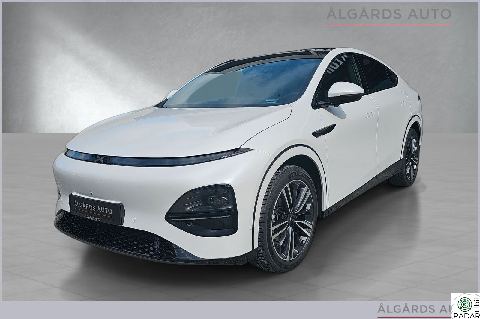 XPENG G6 AWD Performance TOPPMODELL -SKINN -KROK -VINTERHJUL