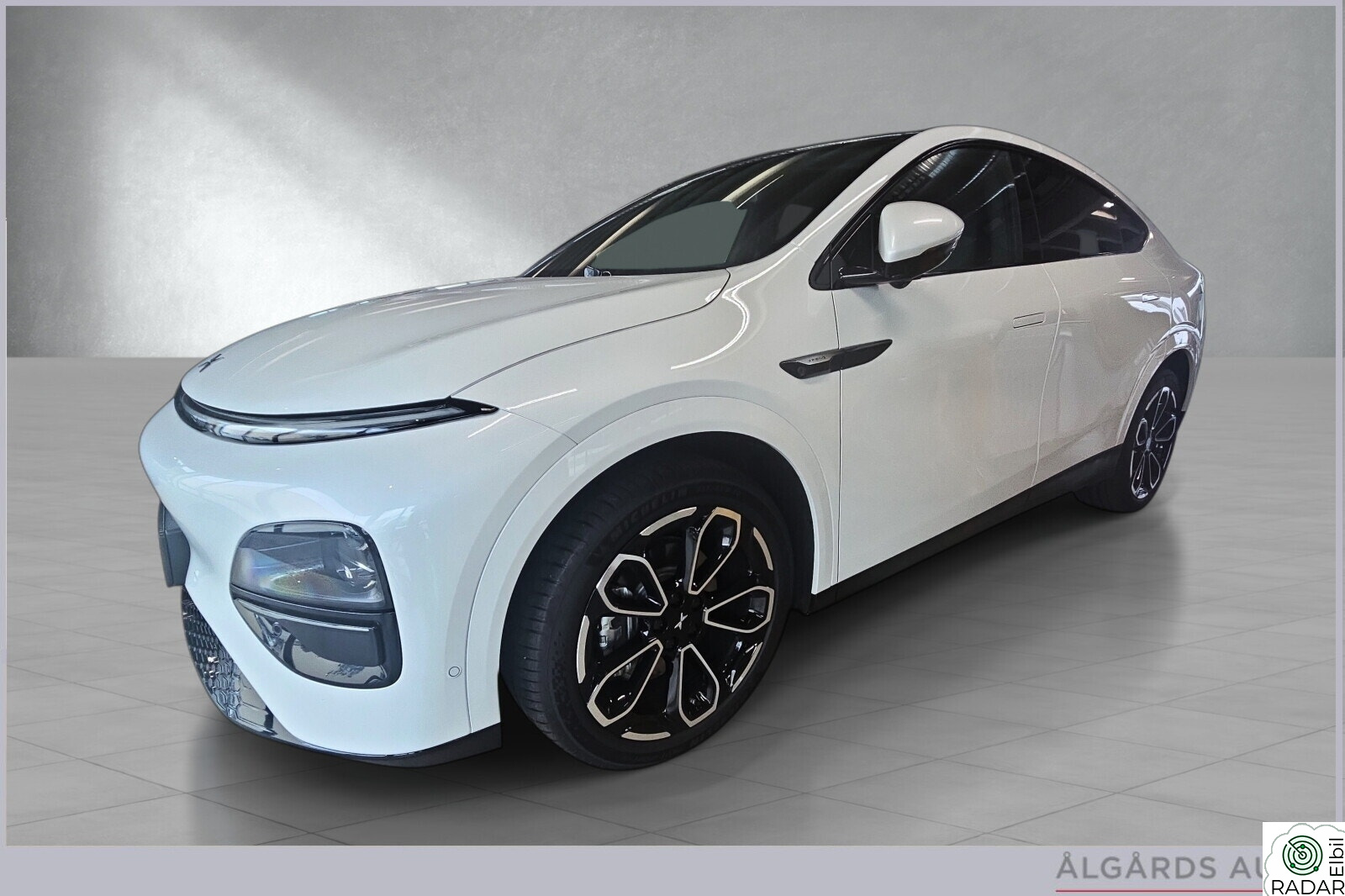 XPENG G6 AWD Performance FACELIFT -SKINN-KROK-VINTERHJUL