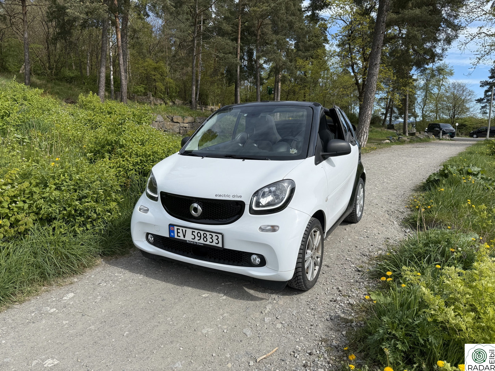 SMART fortwo cabrio ed FORTWO 60KW