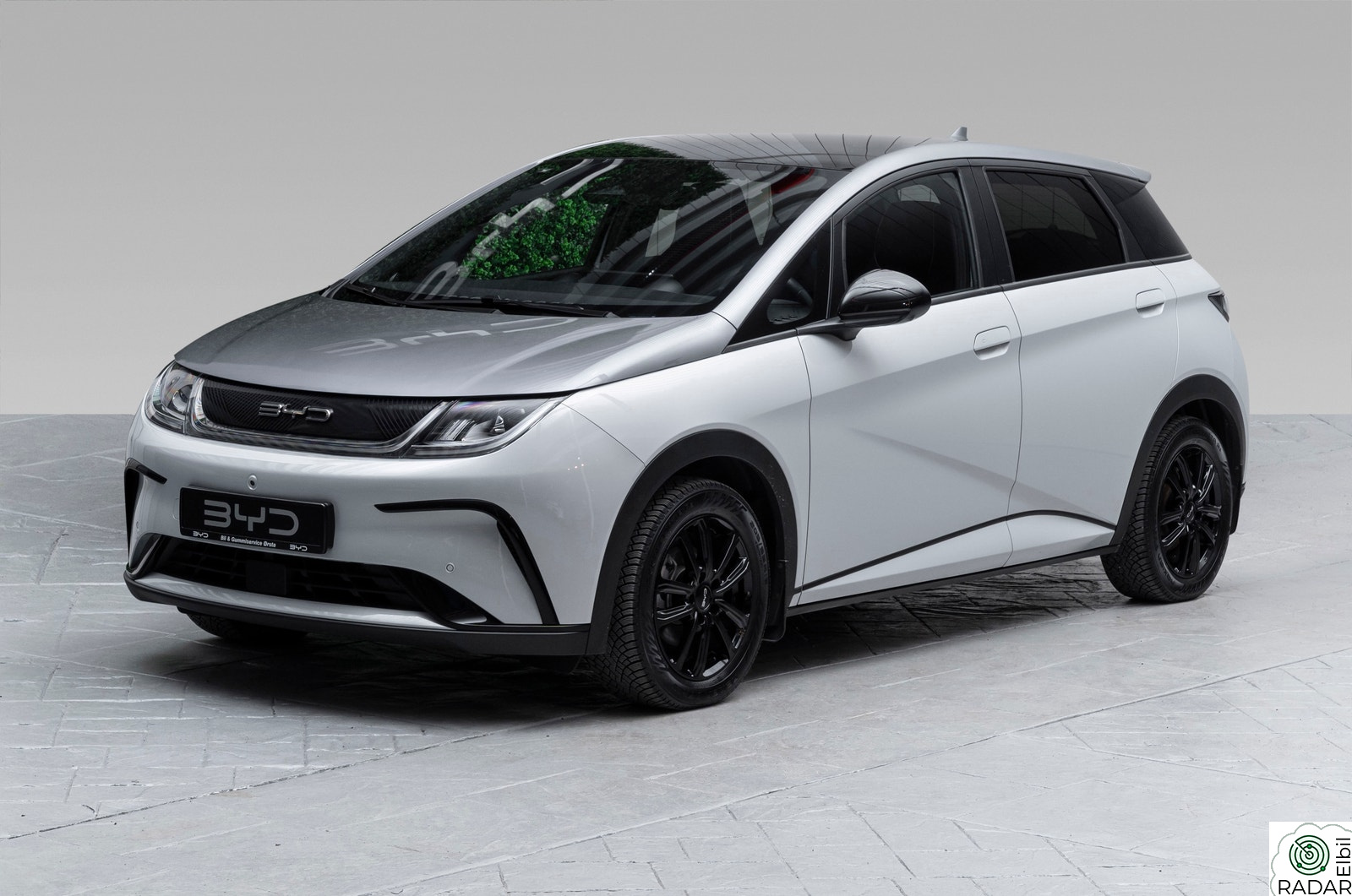 BYD Dolphin Design|panoramatak|privazy|204hk|