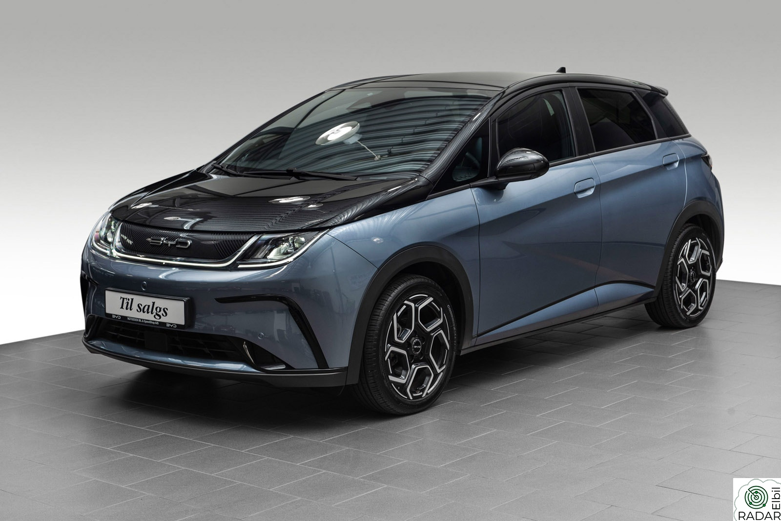 BYD Dolphin Design