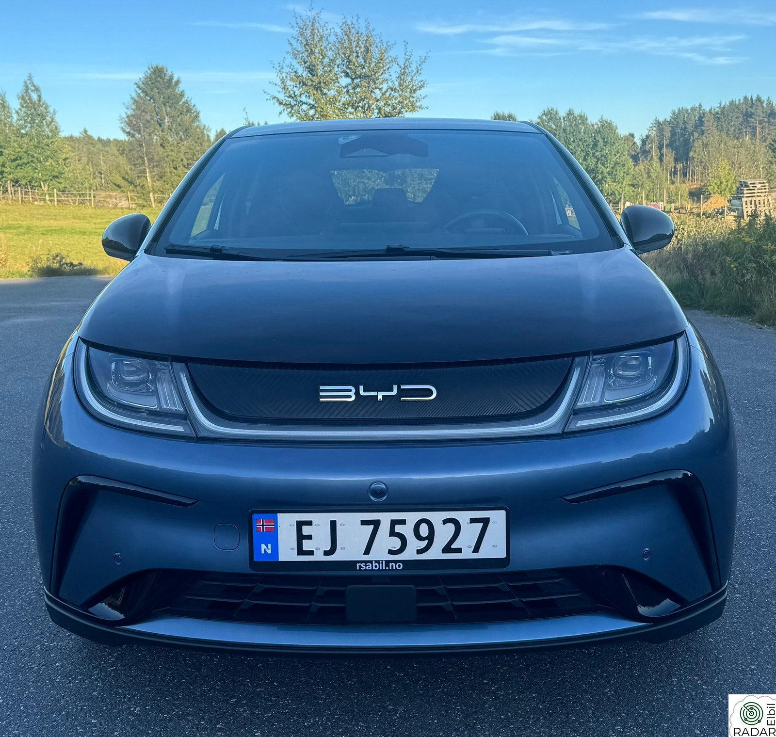 BYD Dolphin Design