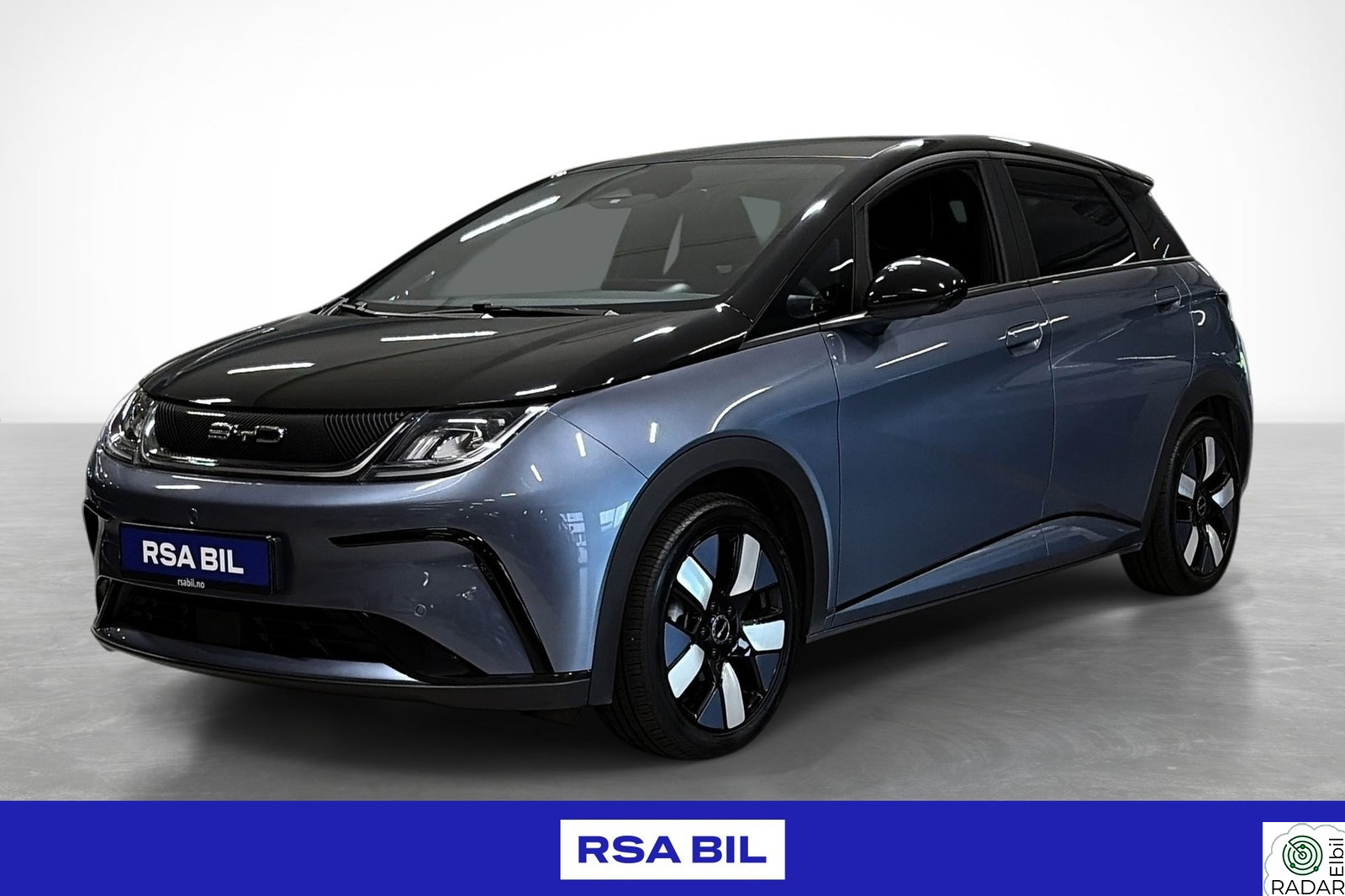 BYD Dolphin Design