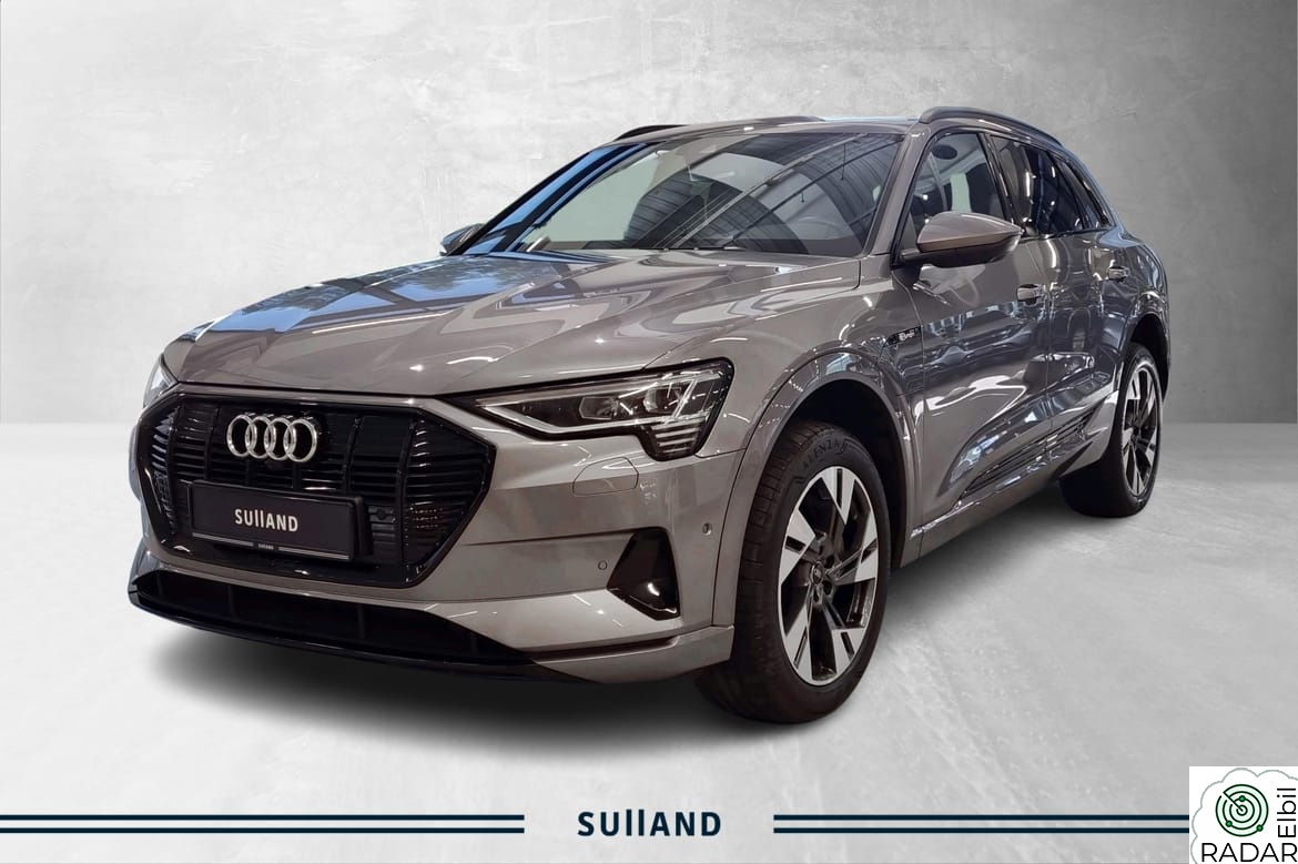 AUDI E TRON 55 Skinnseter - Bang & Olufsen - Hengerfeste - Matrix