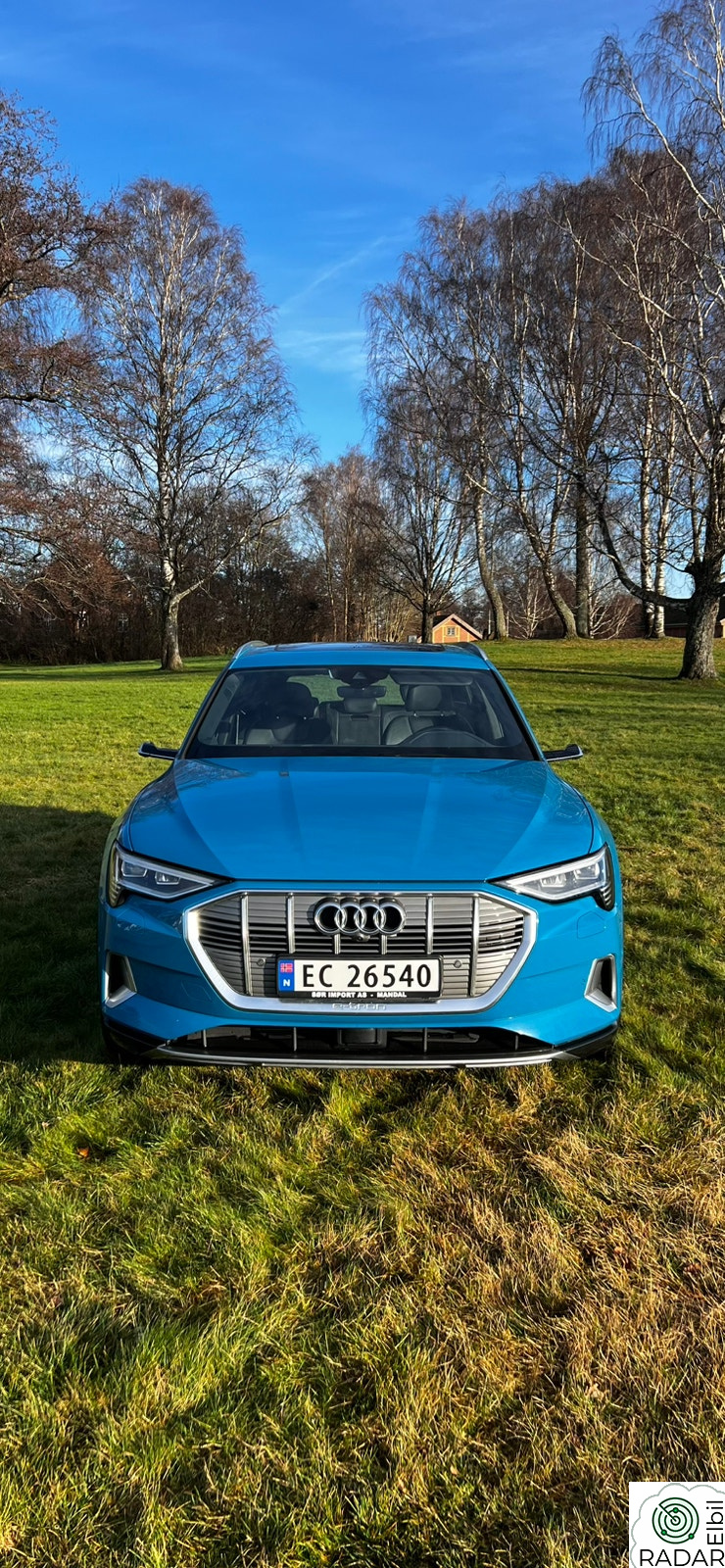 AUDI e-tron 55 edition one/B&O/Matrix/Skinn/Soltak++