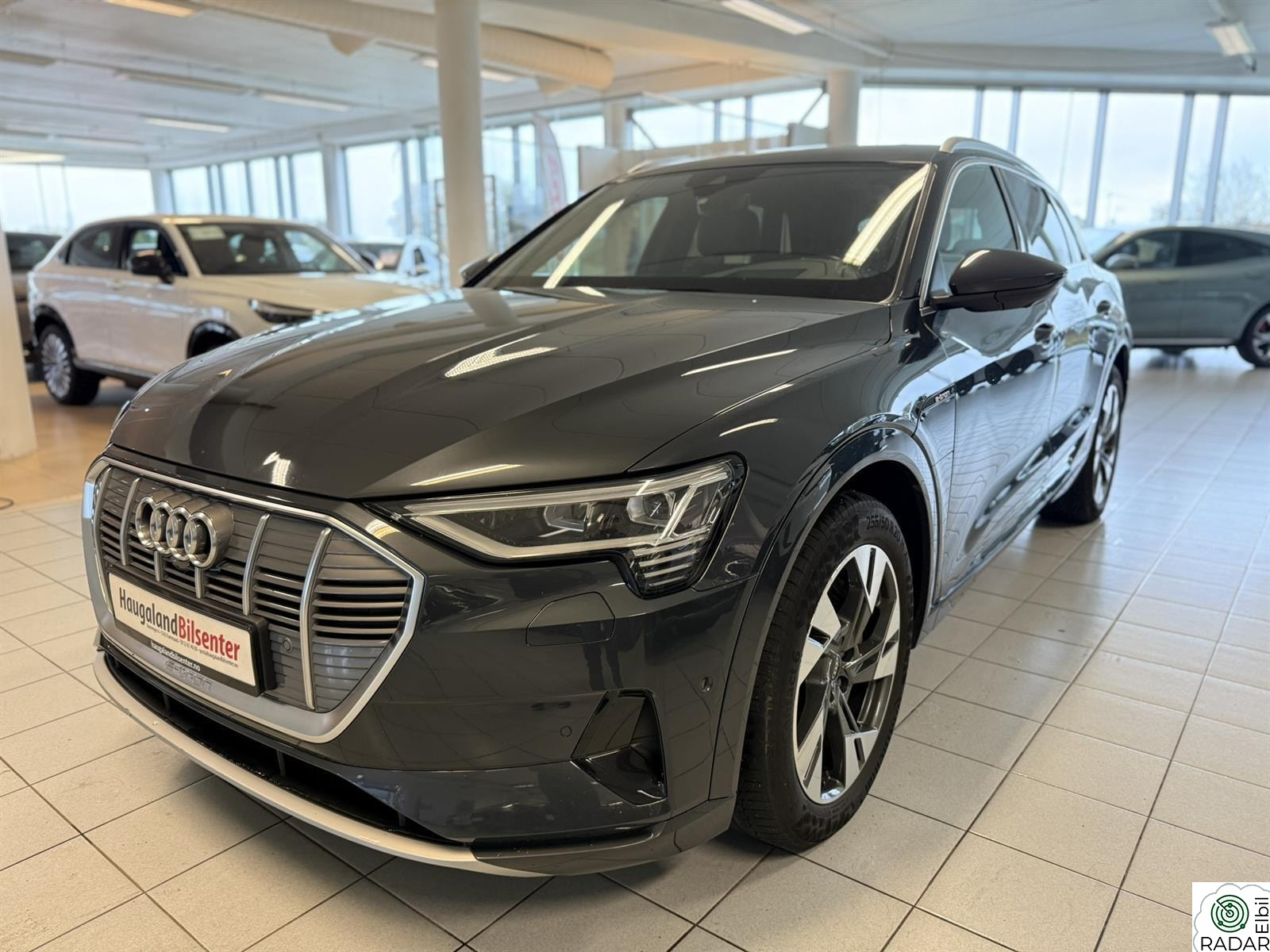AUDI e-tron 55 55,Advance Business,360,Kamera,4x4,Bang & Olufsen, Krok