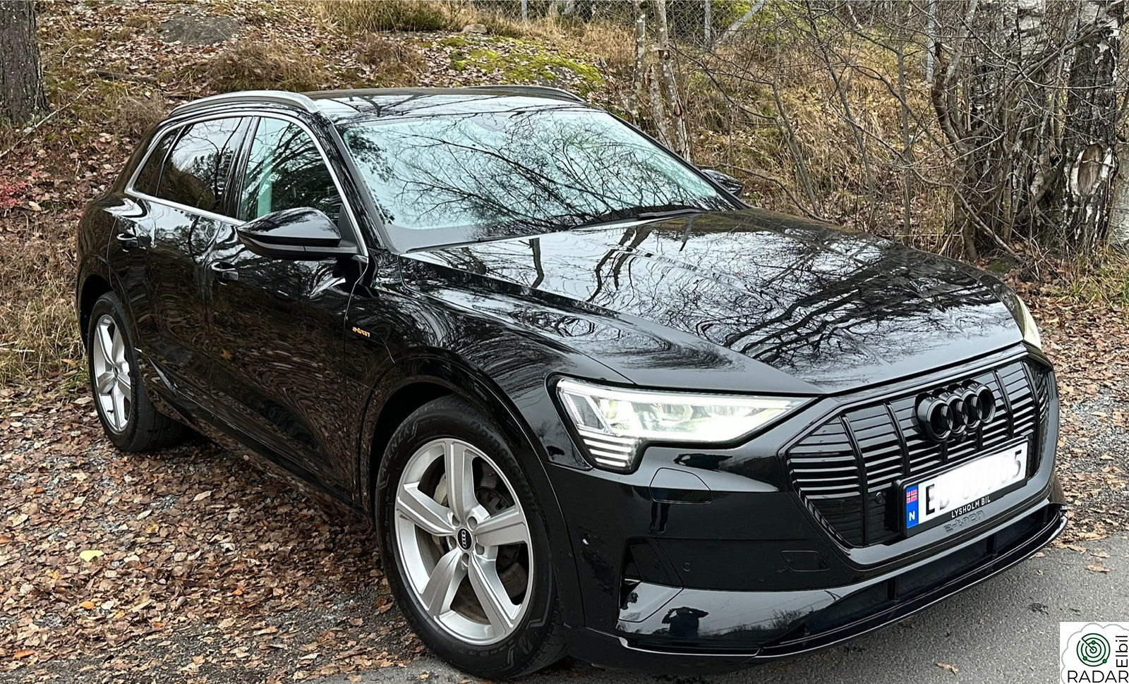 AUDI e-tron 55 55 Advanced Sport