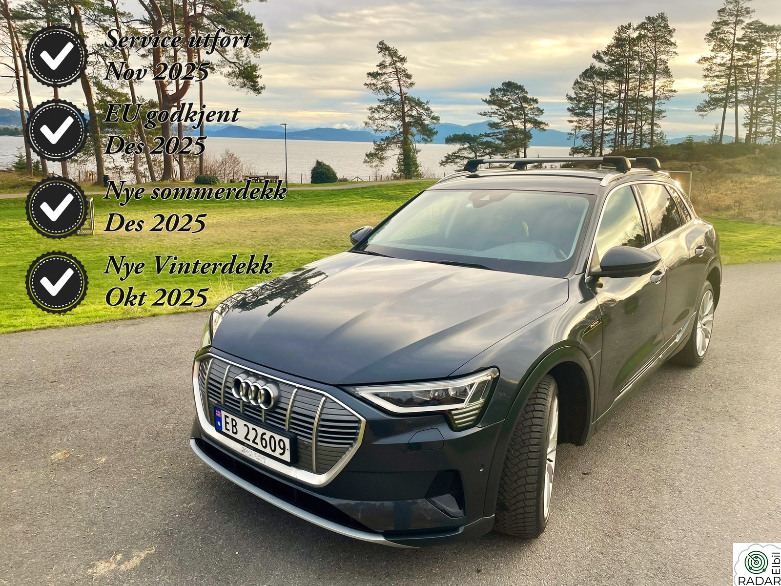 AUDI e-tron 50 50 Advanced Business