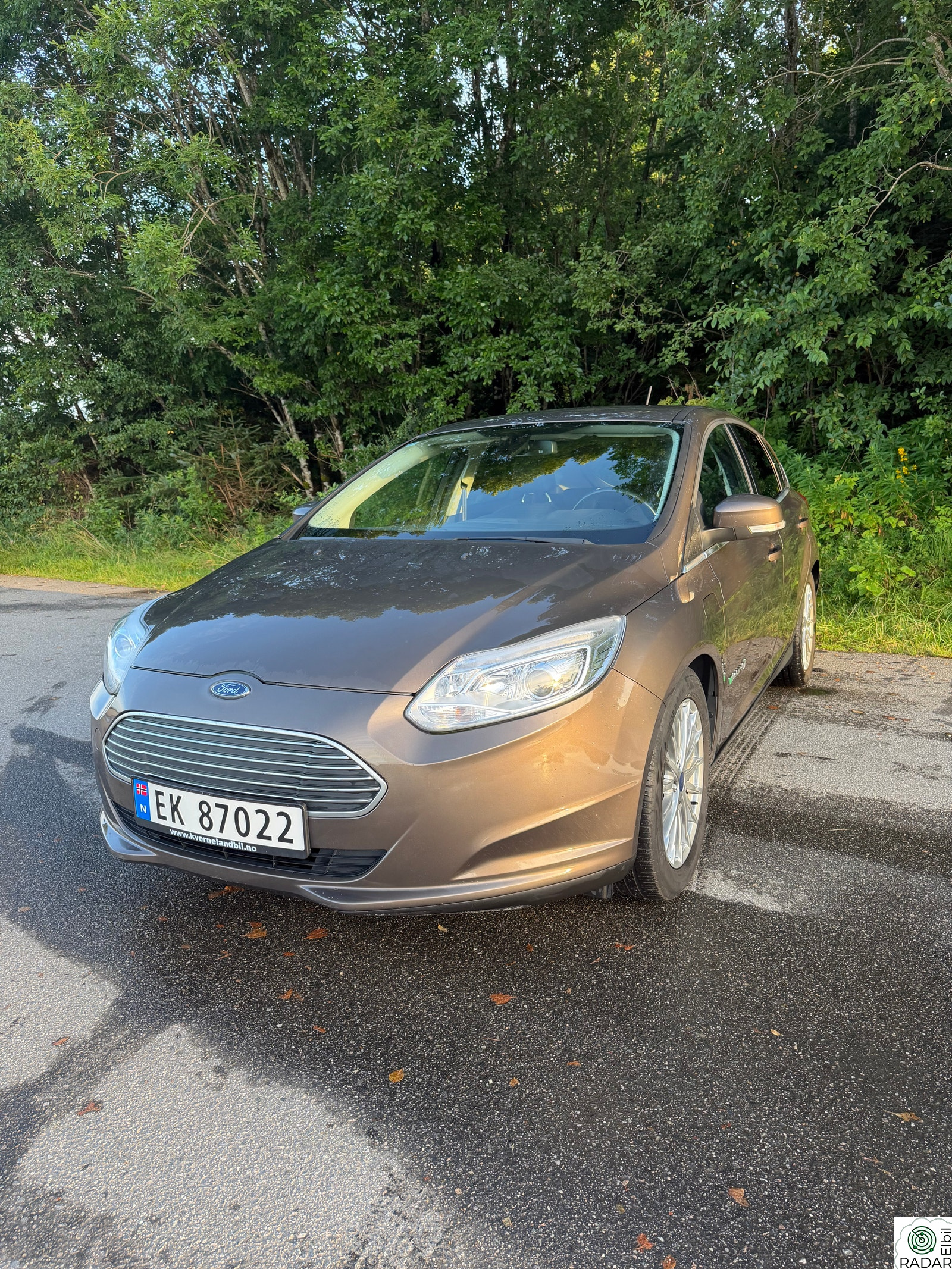 FORD-CNG-TECHNIK Focus Electric Electric