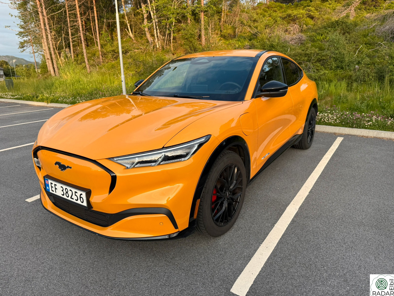 FORD Mustang Mach-E SR AWD
